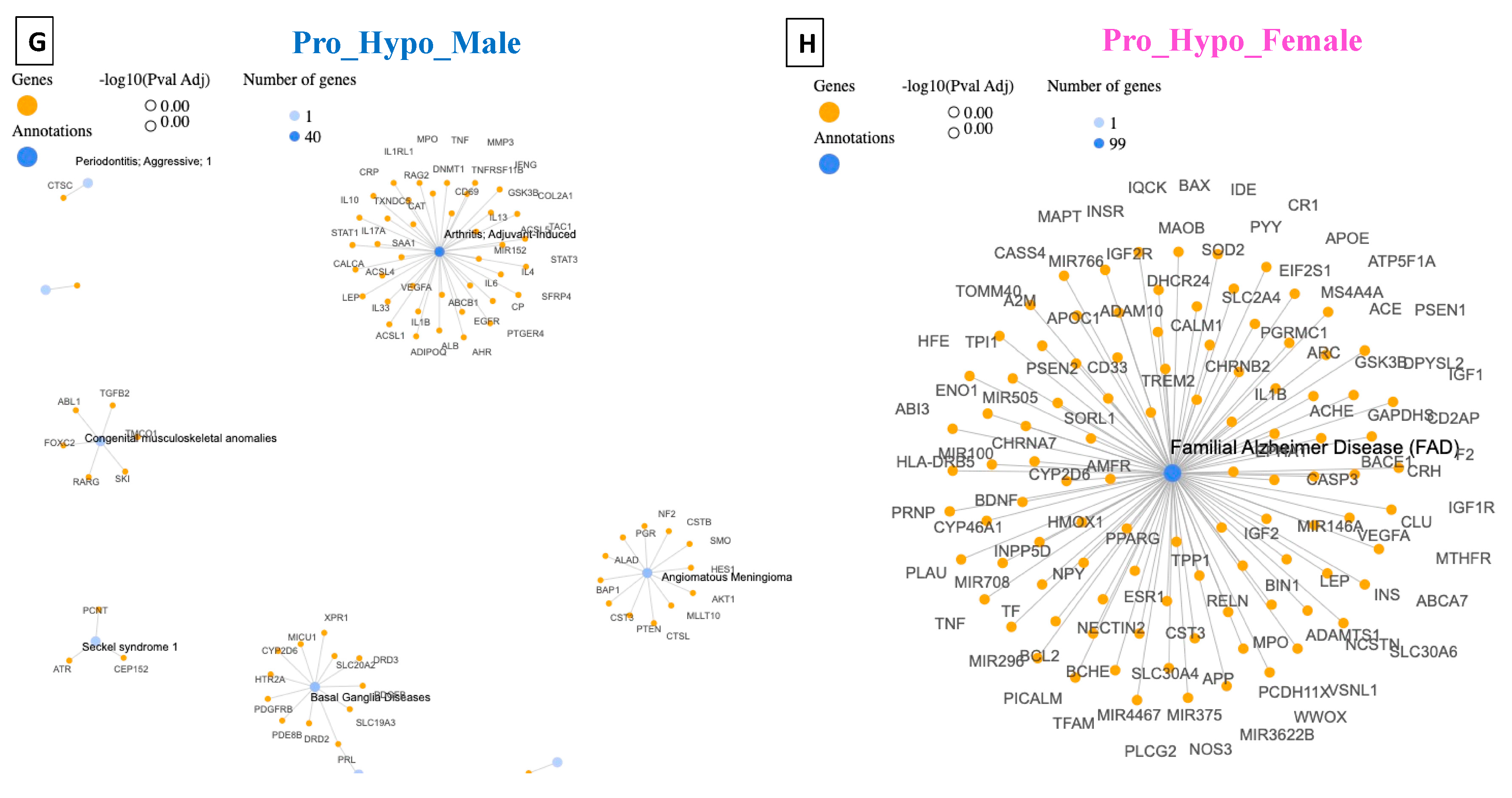Diagnostics 14 00929 g004c