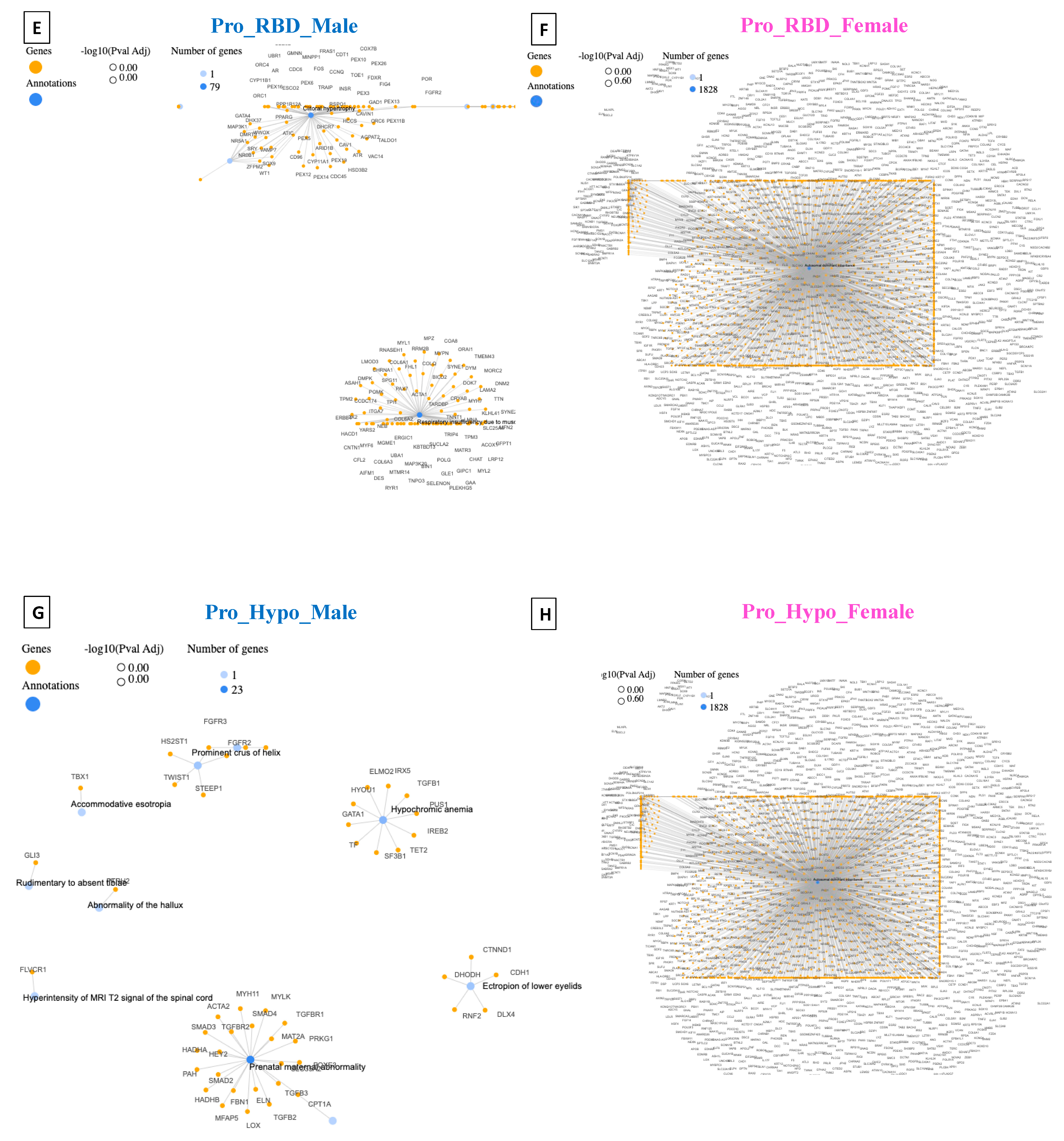 Diagnostics 14 00929 g005b