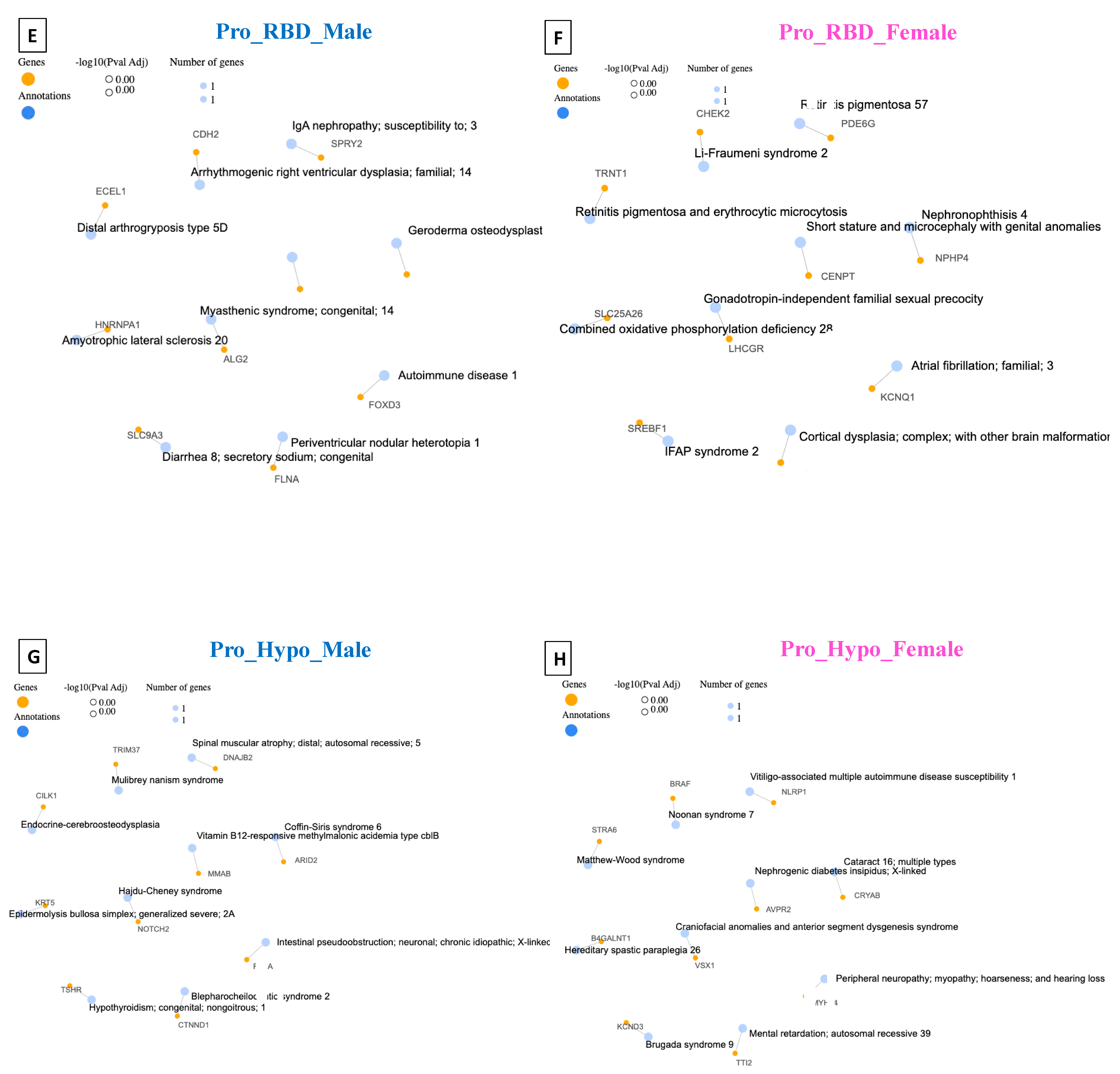 Diagnostics 14 00929 g006b