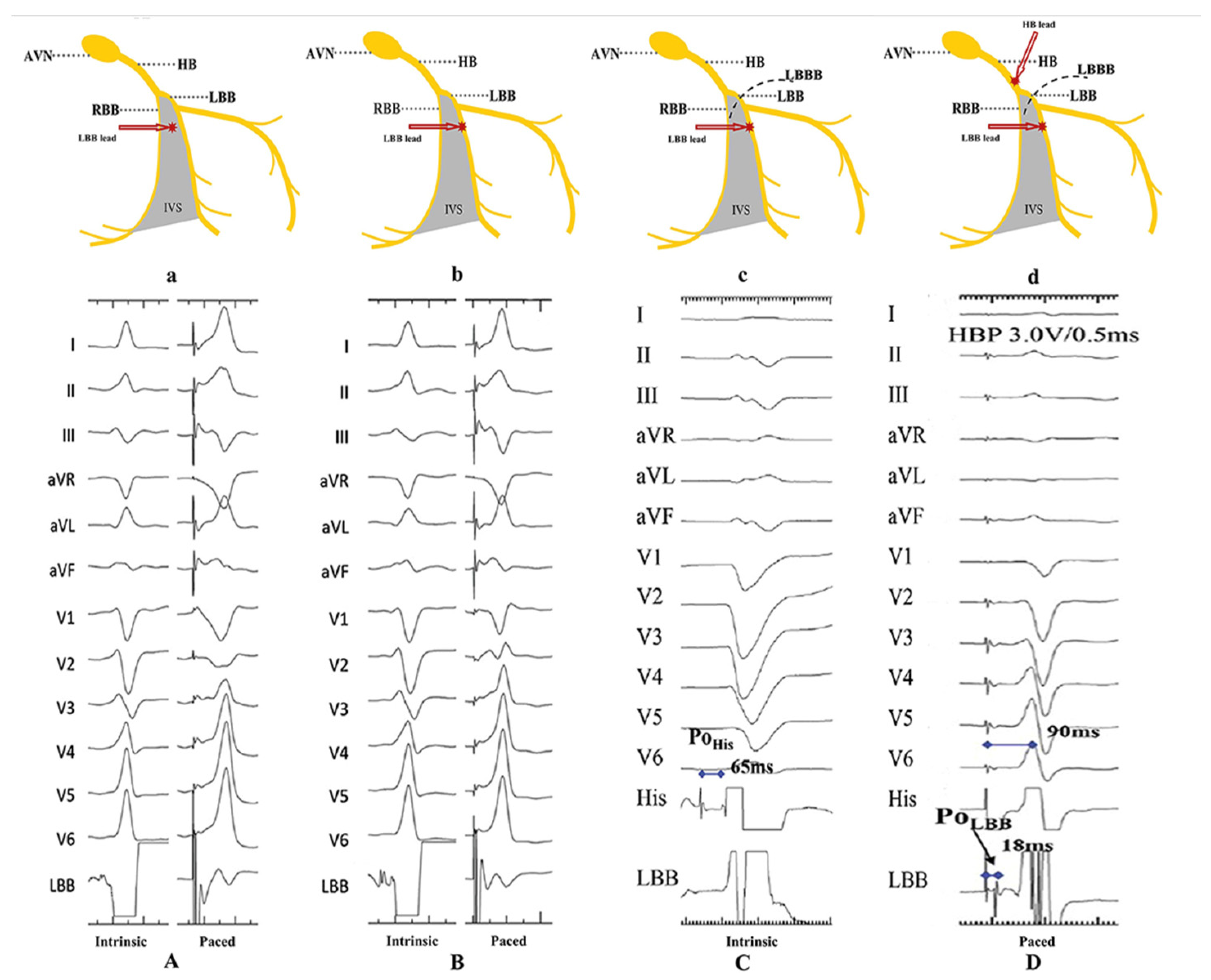 Diagnostics 14 00937 g008