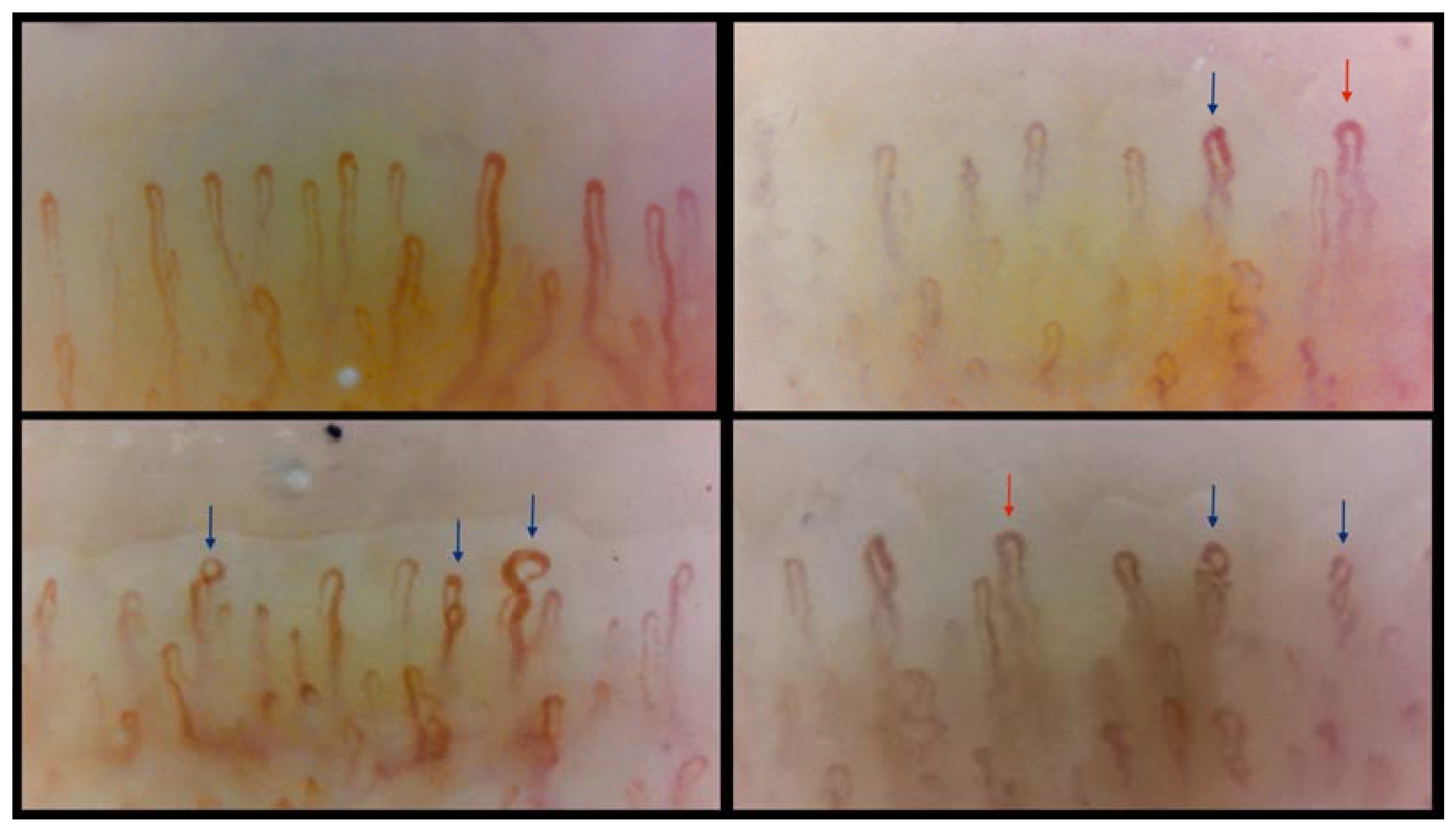 Diagnostics 14 00950 g001