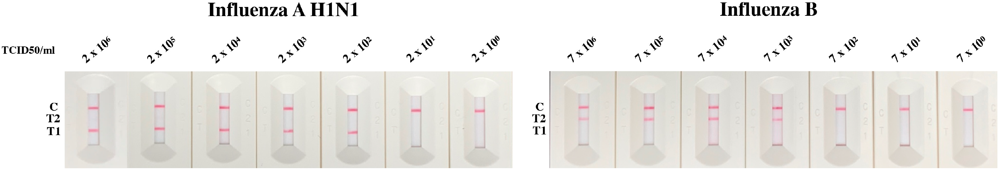 Diagnostics 14 00967 g002