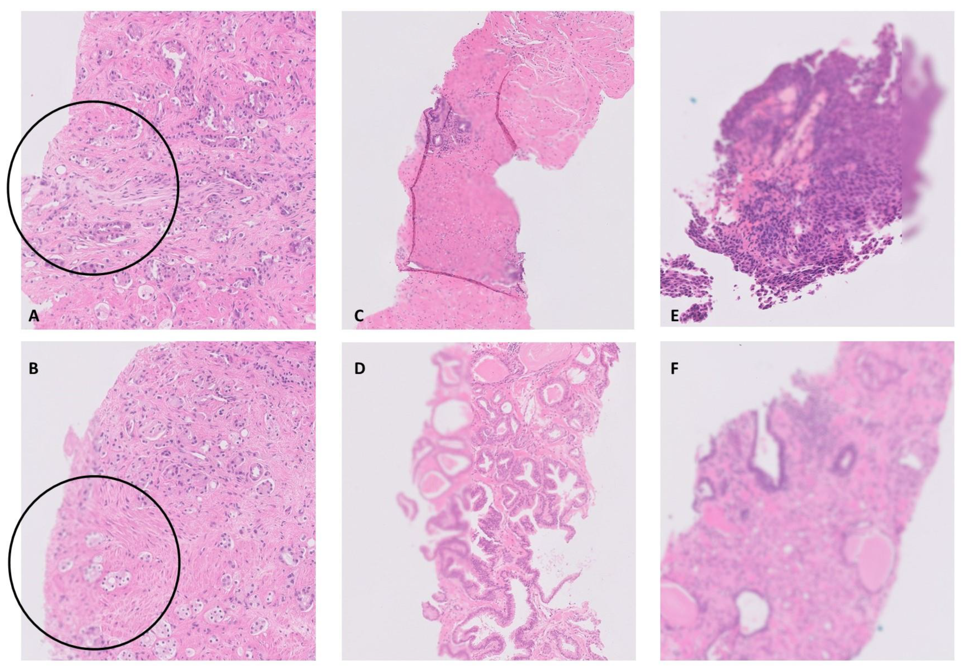 Diagnostics 14 00990 g004
