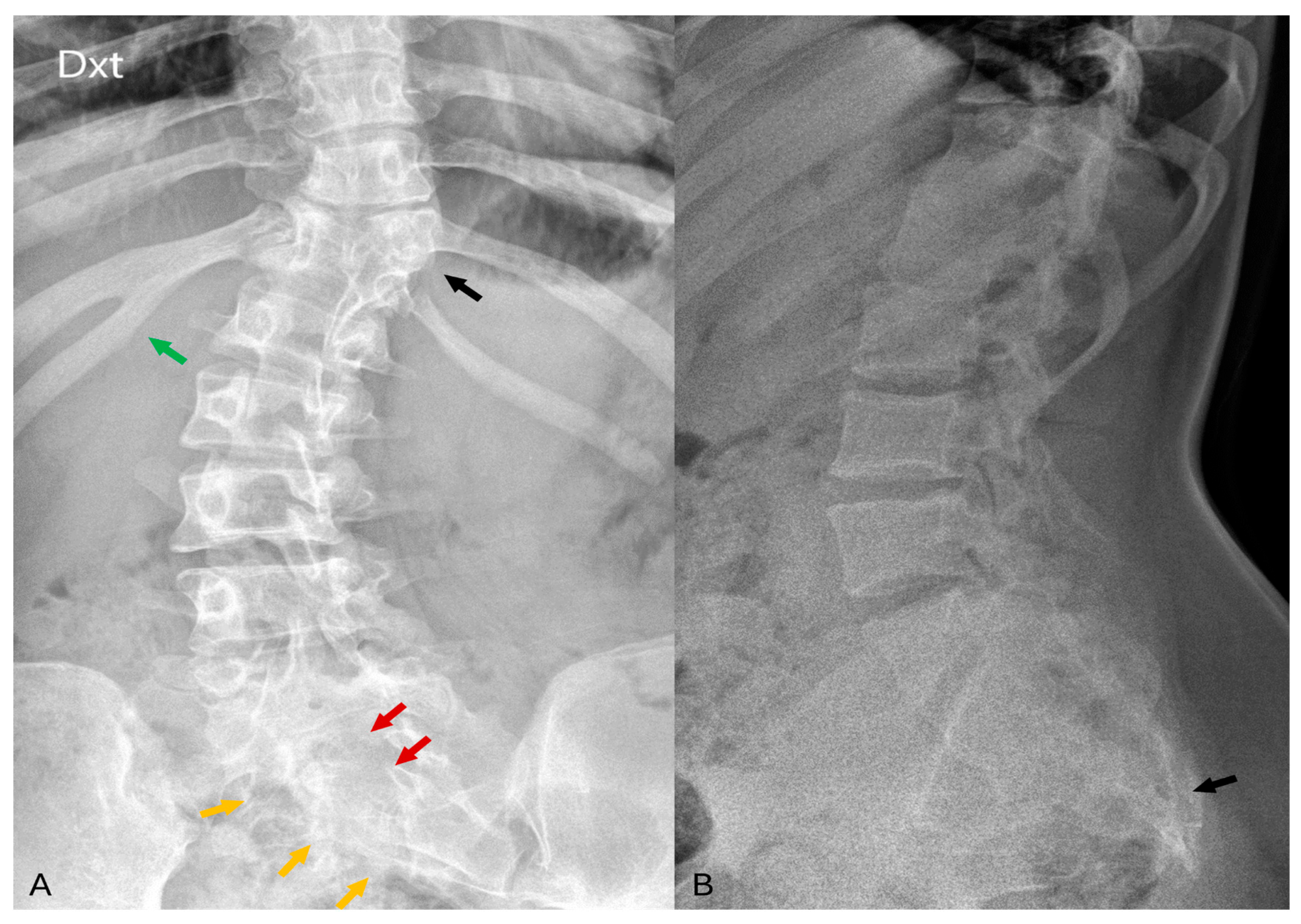 Diagnostics 14 01000 g001
