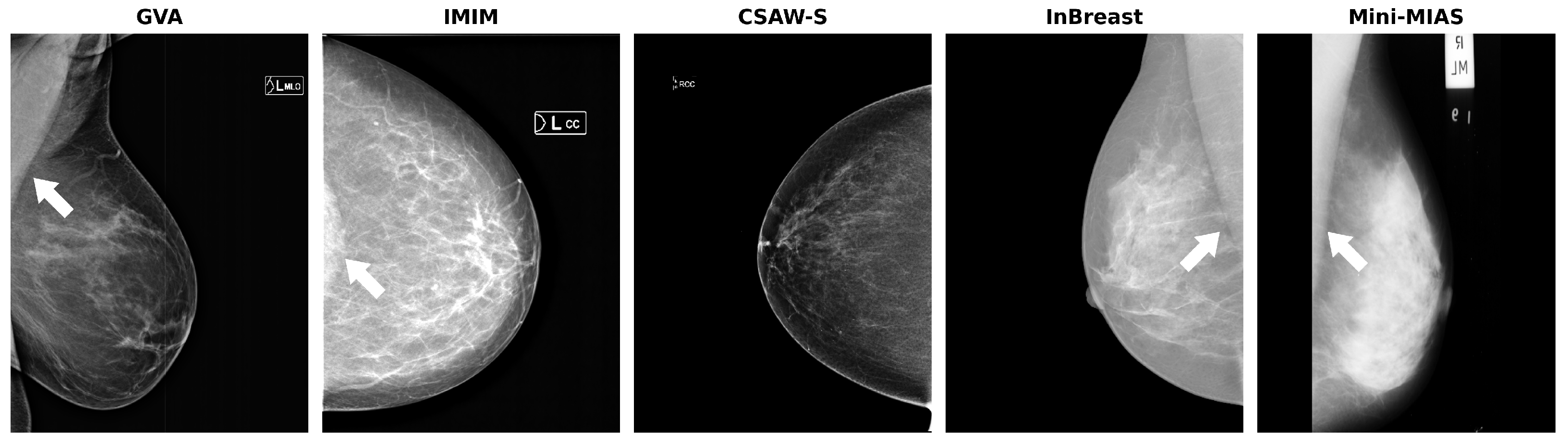 Diagnostics 14 01015 g001