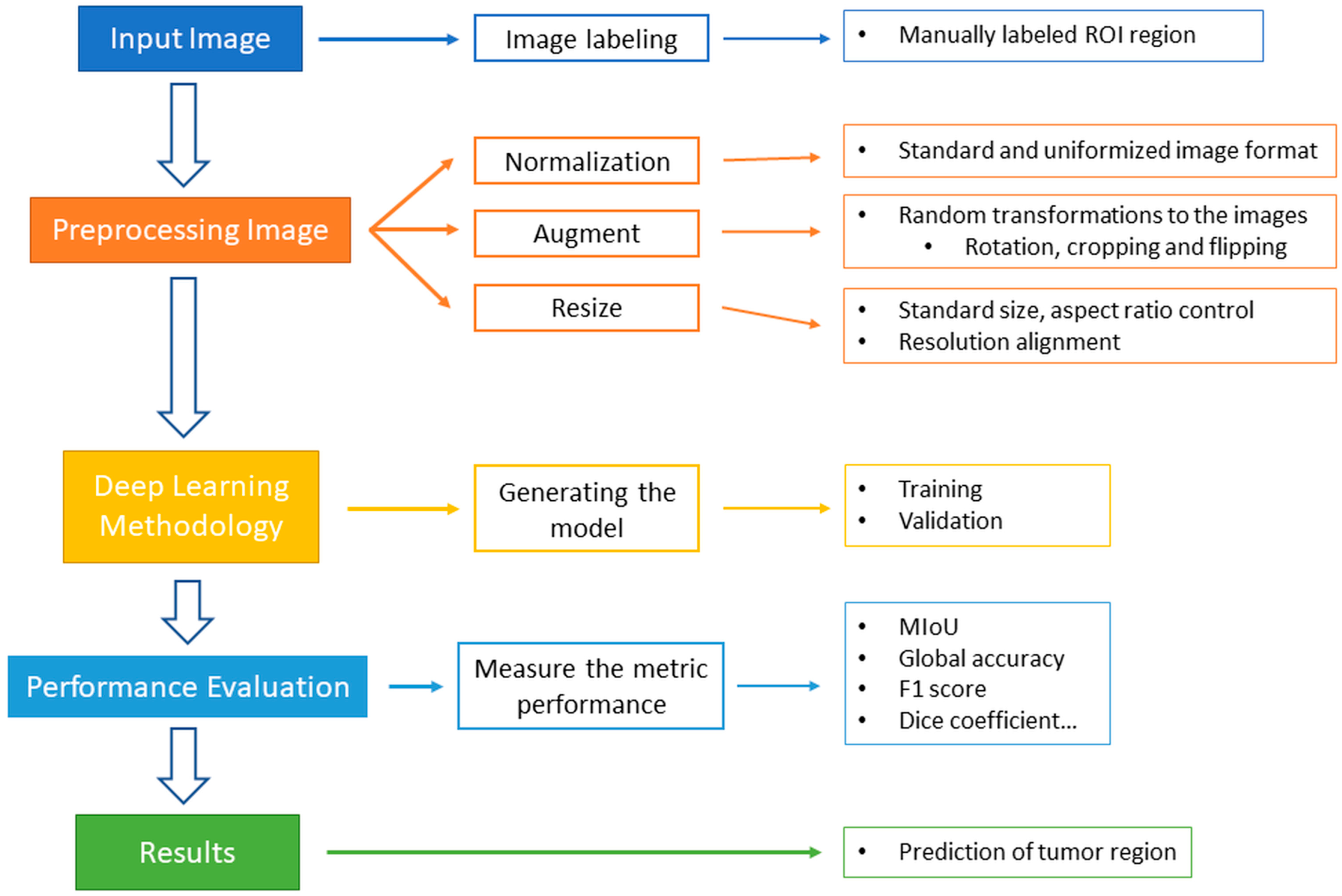 Diagnostics 14 01032 g001
