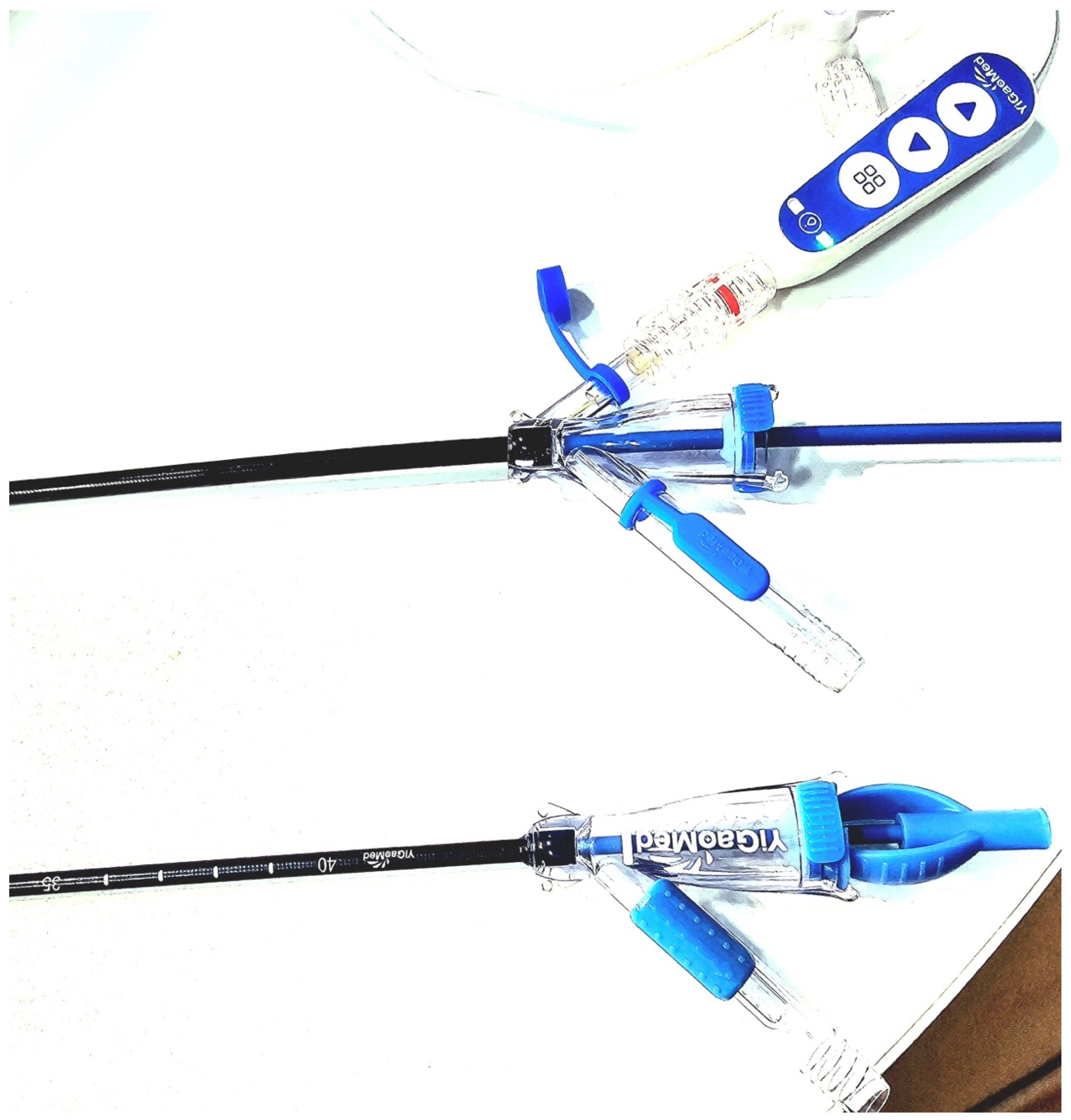 Diagnostics 14 01034 g004 Diagnostics 14 01034 g004