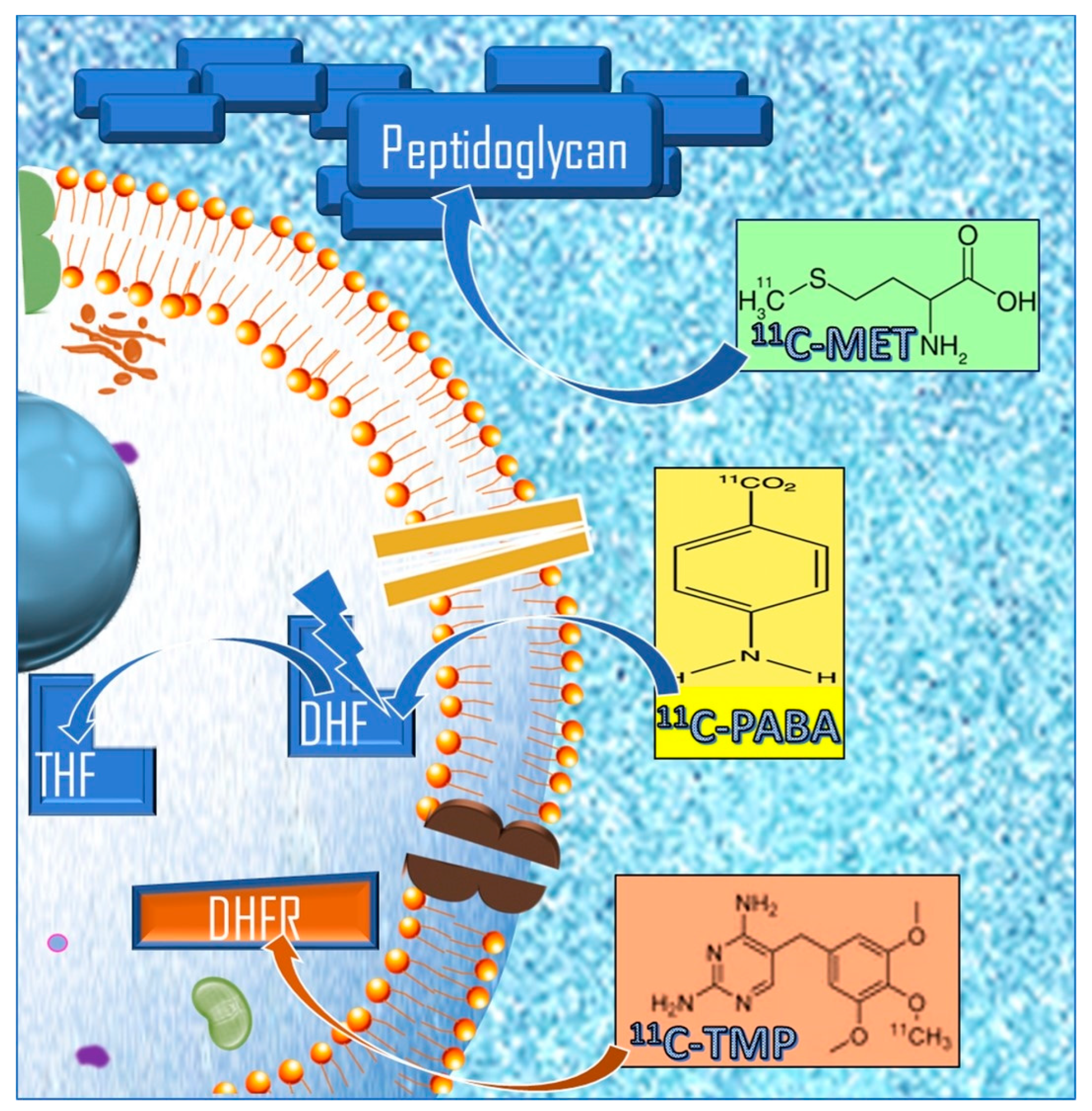 Diagnostics 14 01043 g002 Diagnostics 14 01043 g002