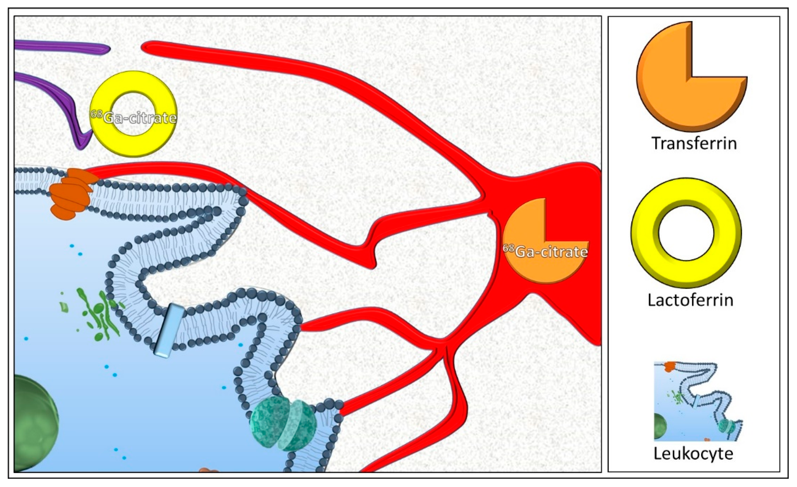 Diagnostics 14 01043 g003 Diagnostics 14 01043 g003