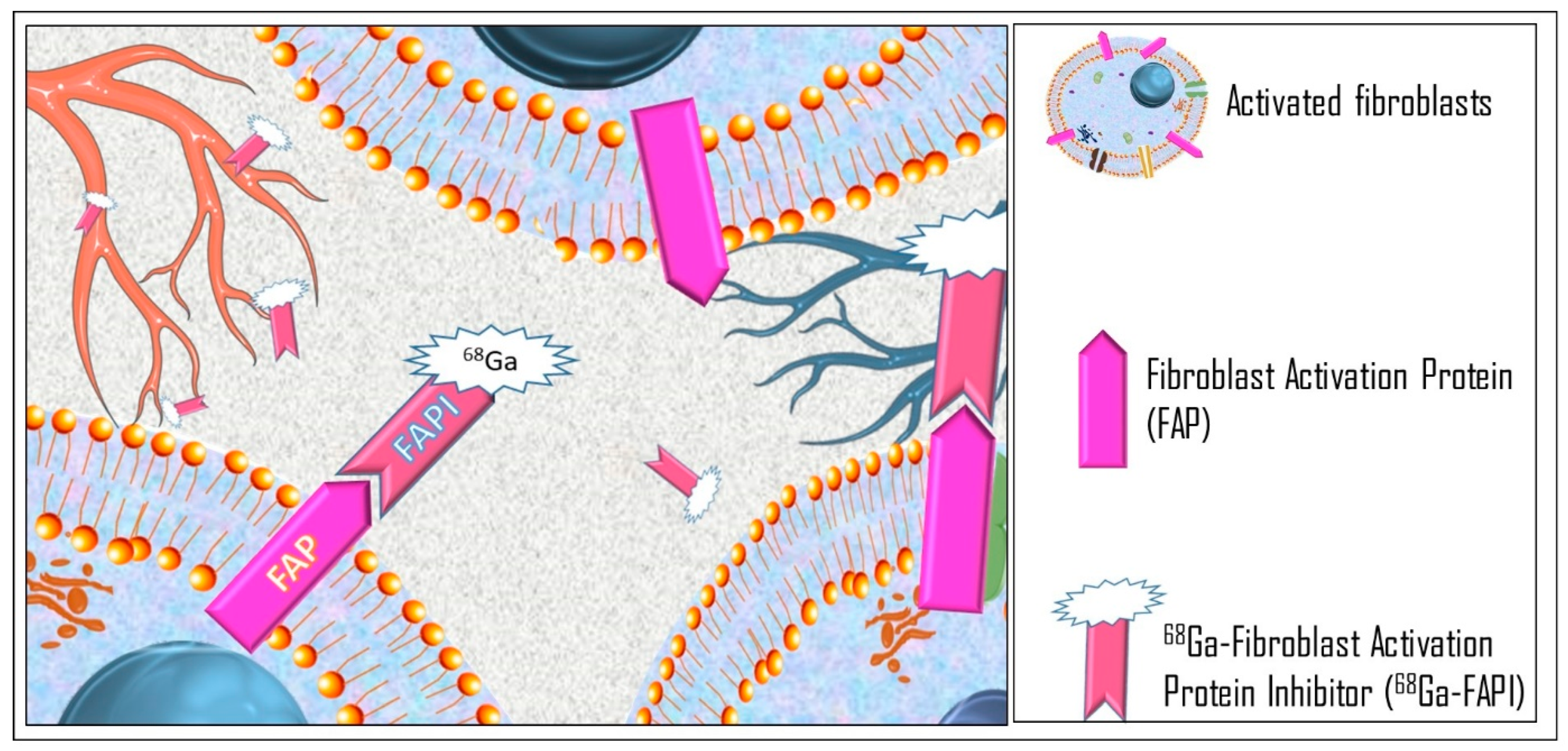 Diagnostics 14 01043 g004 Diagnostics 14 01043 g004