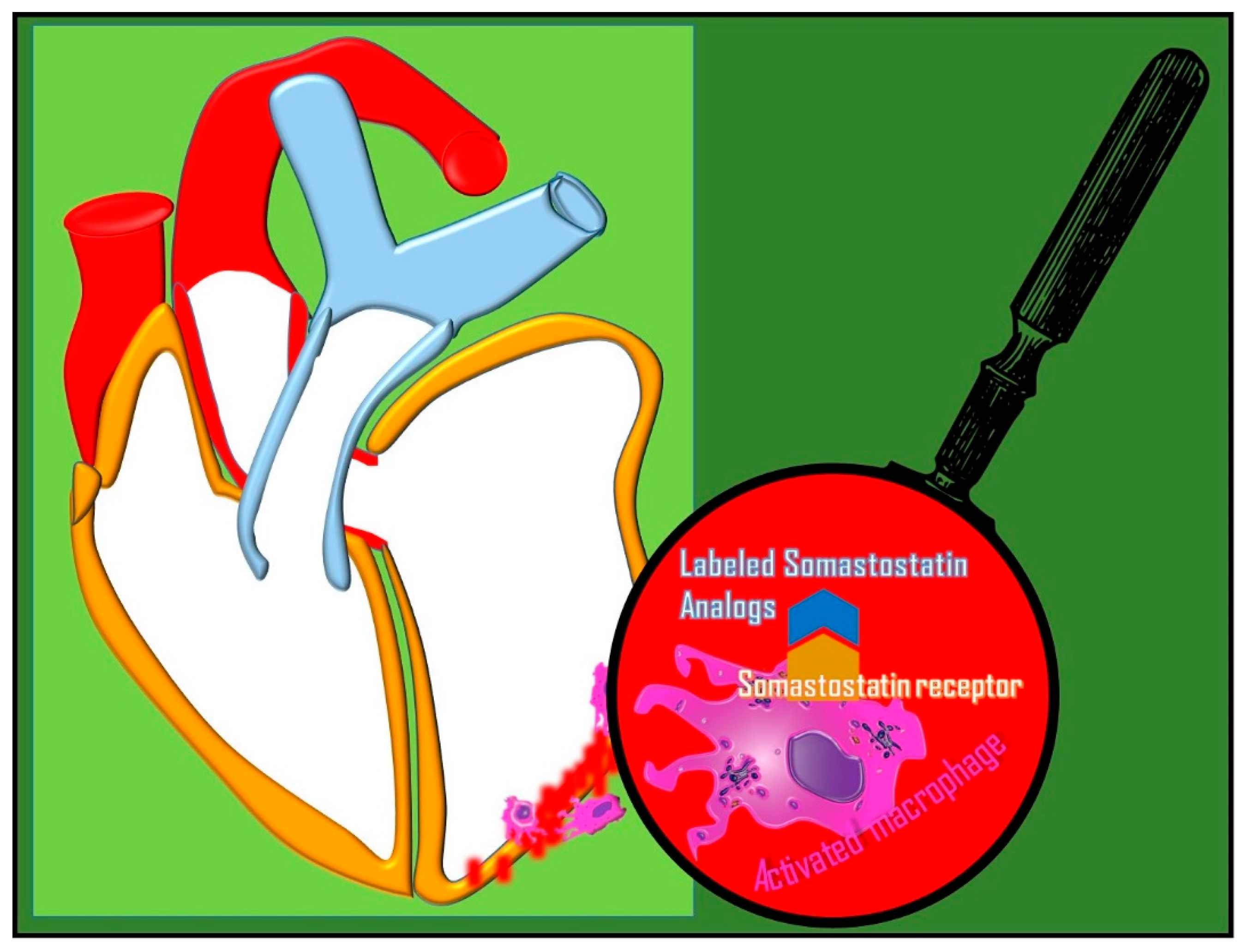 Diagnostics 14 01043 g005 Diagnostics 14 01043 g005