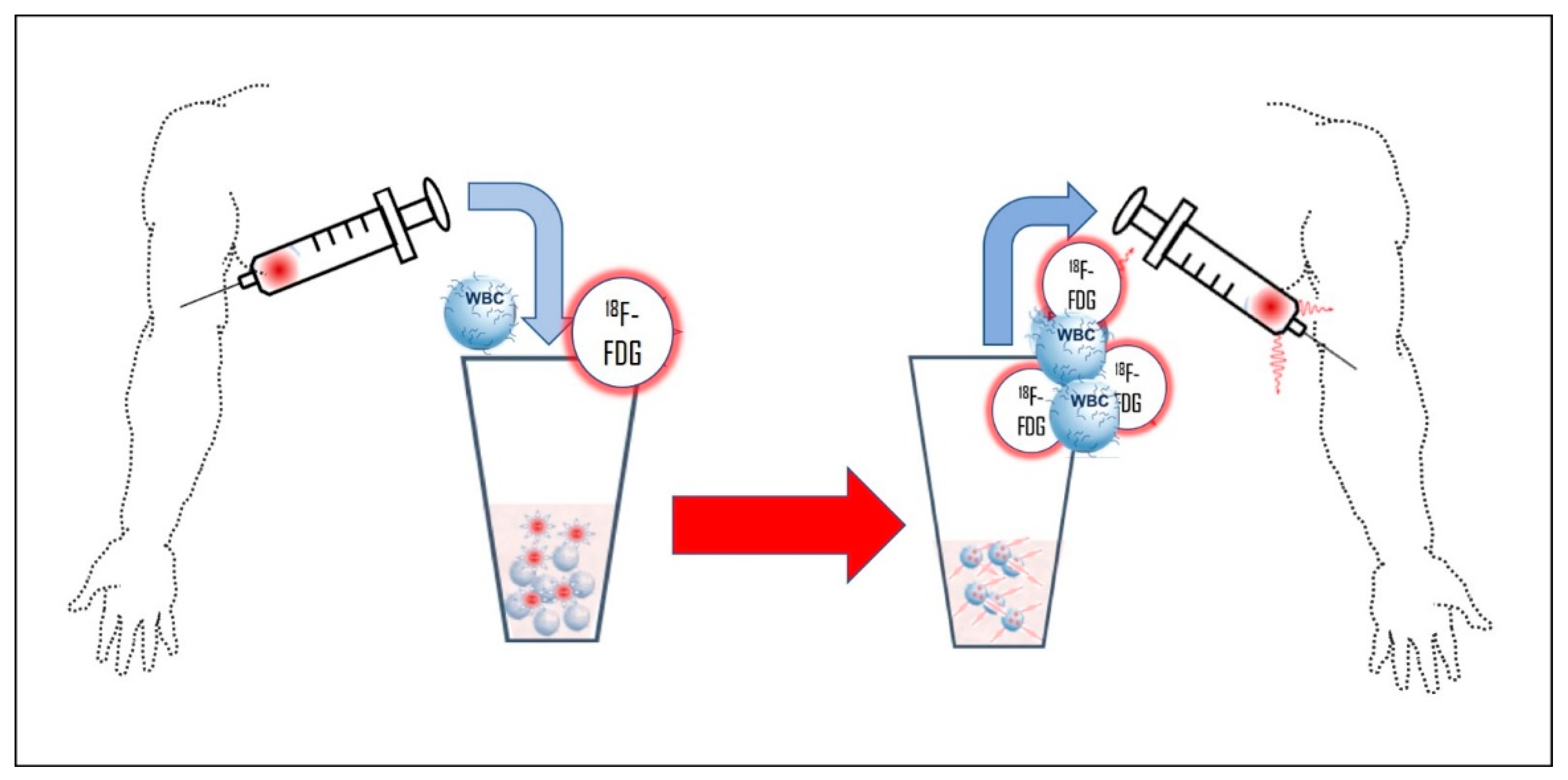 Diagnostics 14 01043 g006 Diagnostics 14 01043 g006