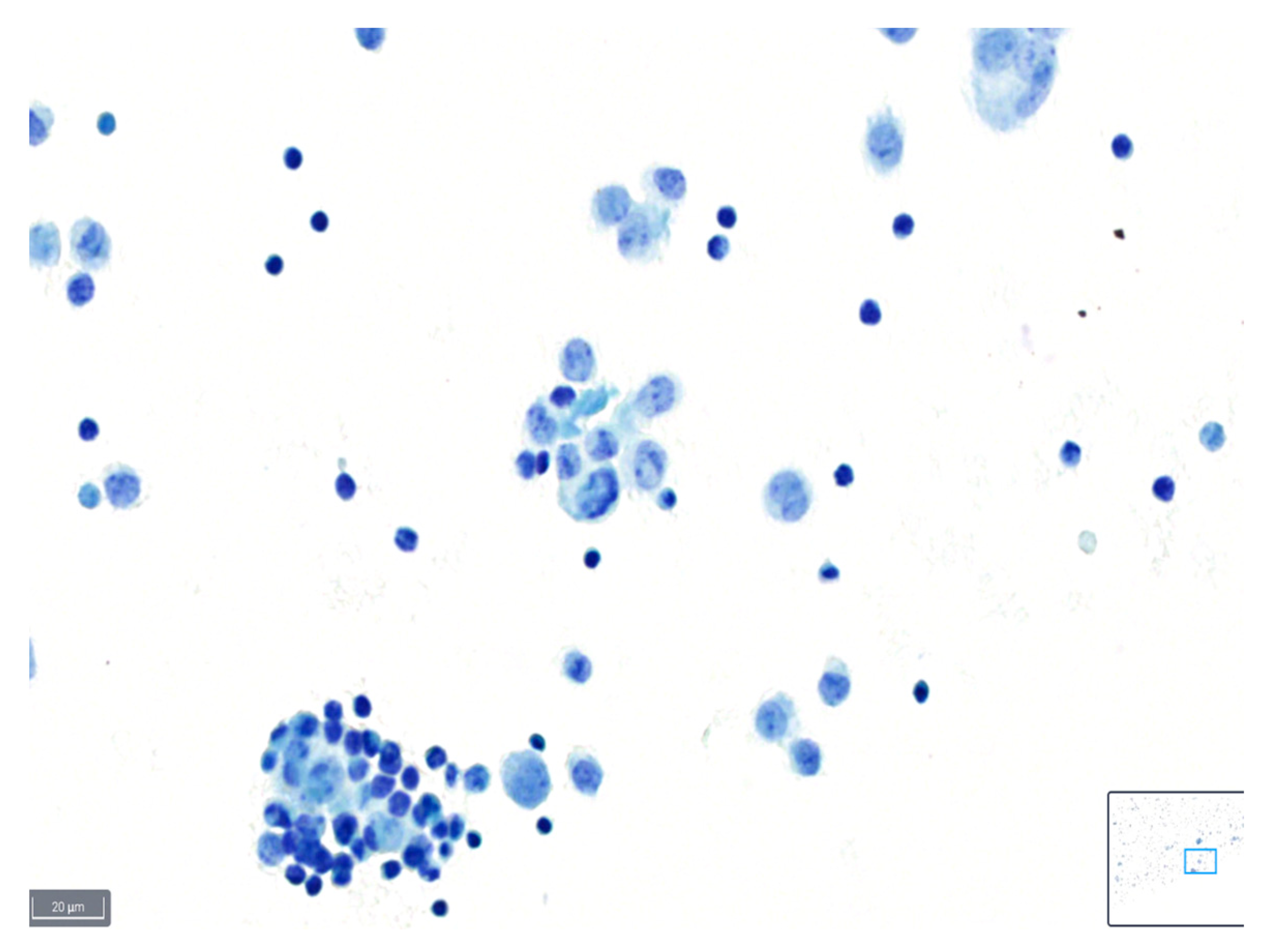 Diagnostics 14 01074 g002