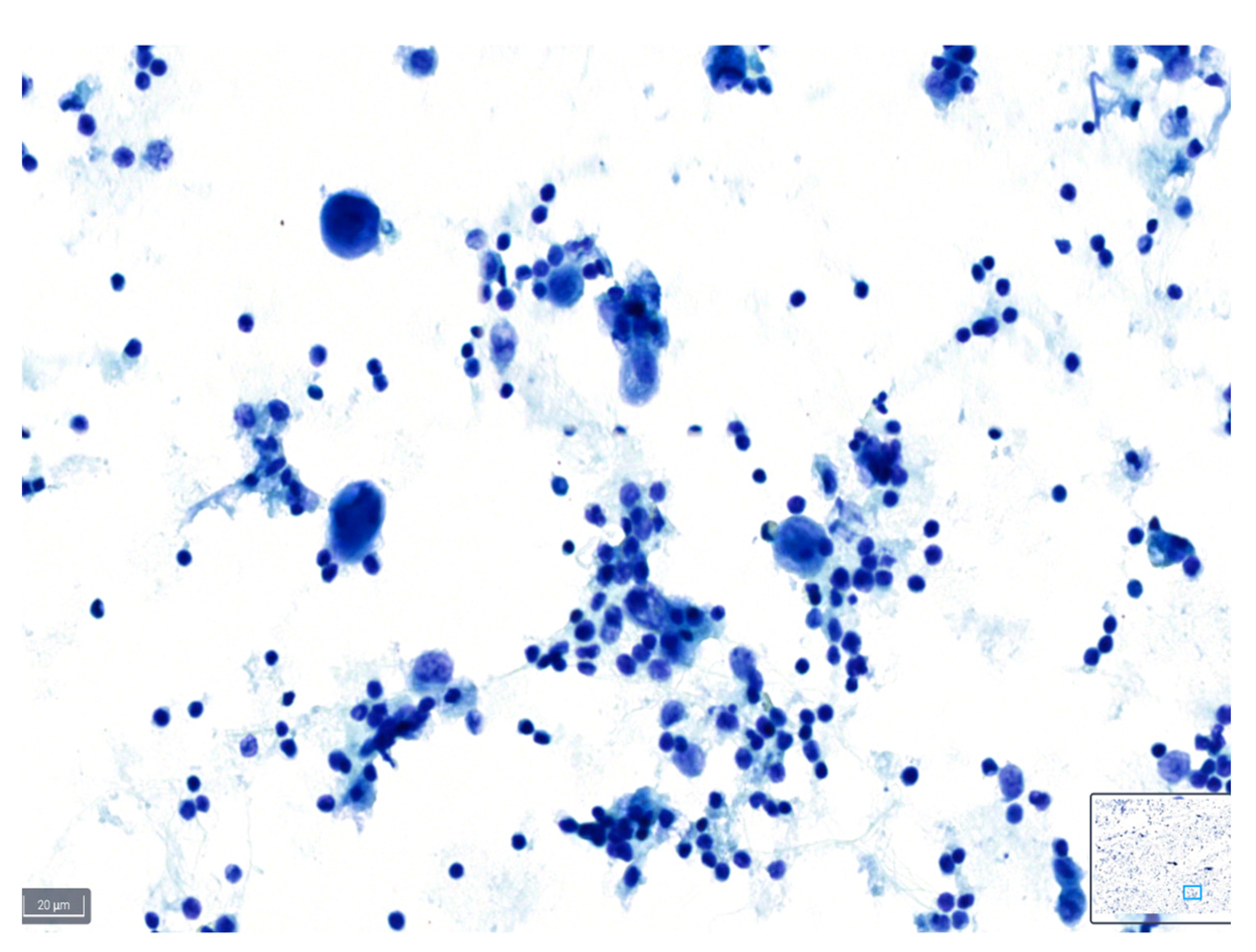 Diagnostics 14 01074 g003