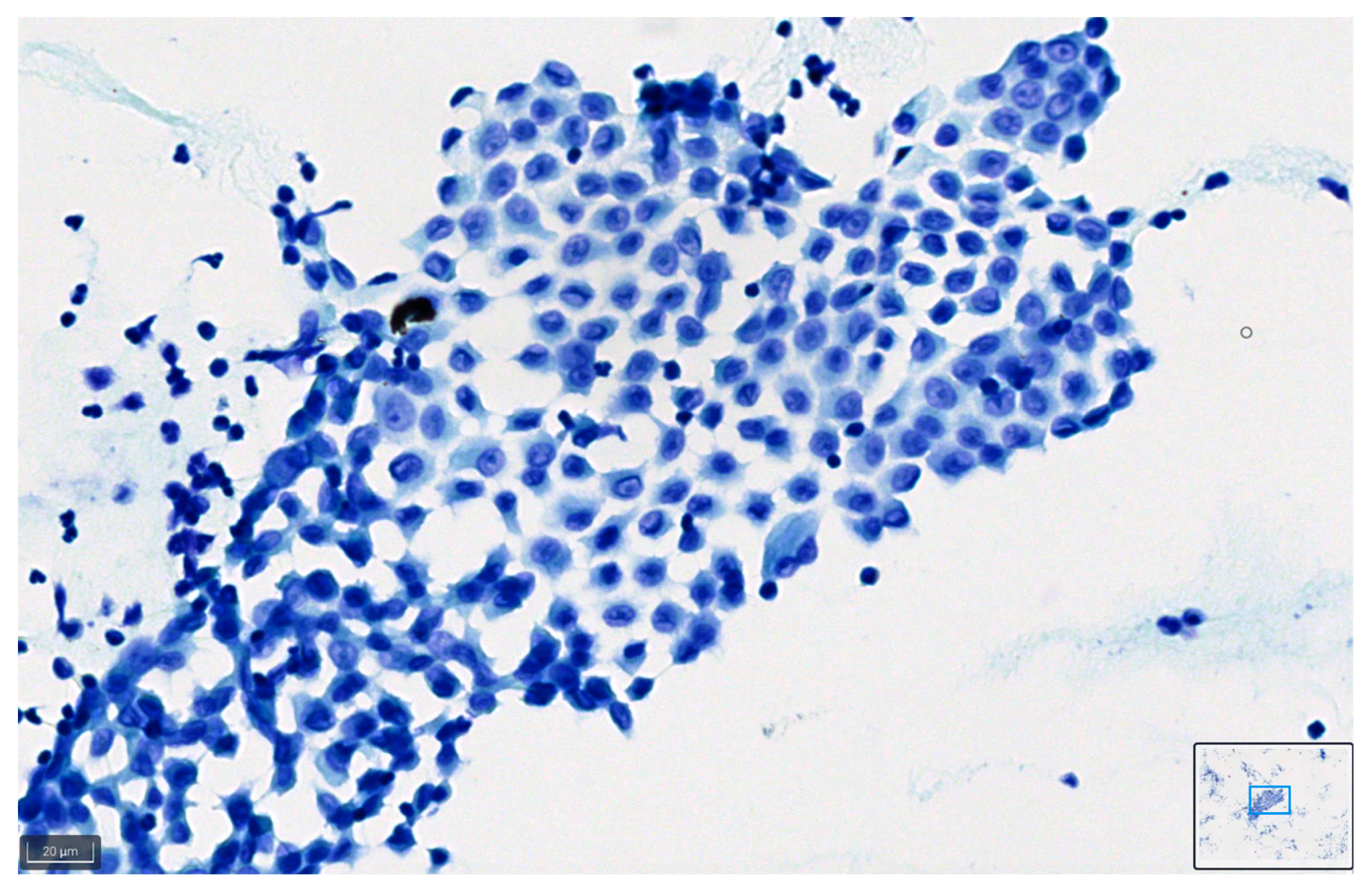 Diagnostics 14 01074 g008