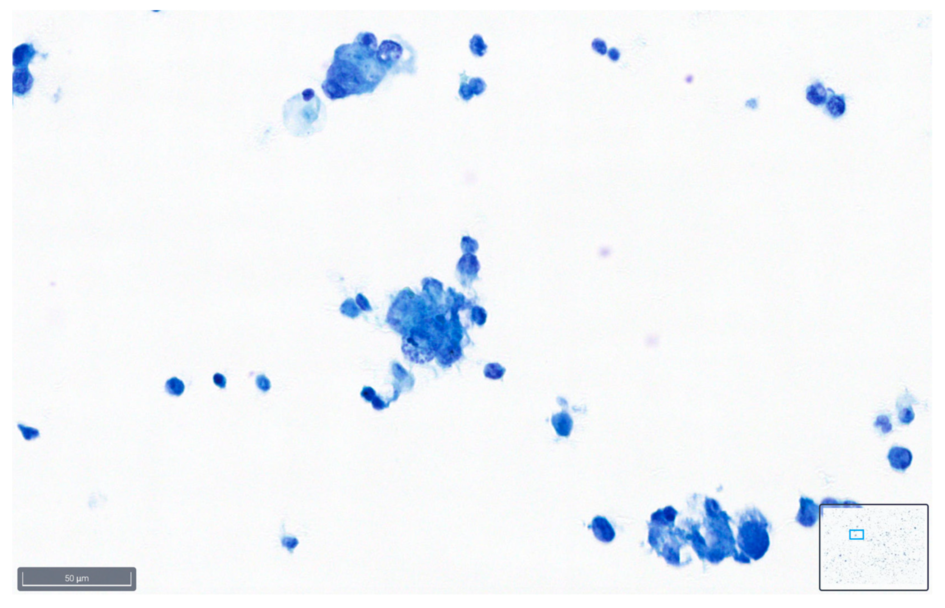 Diagnostics 14 01074 g009