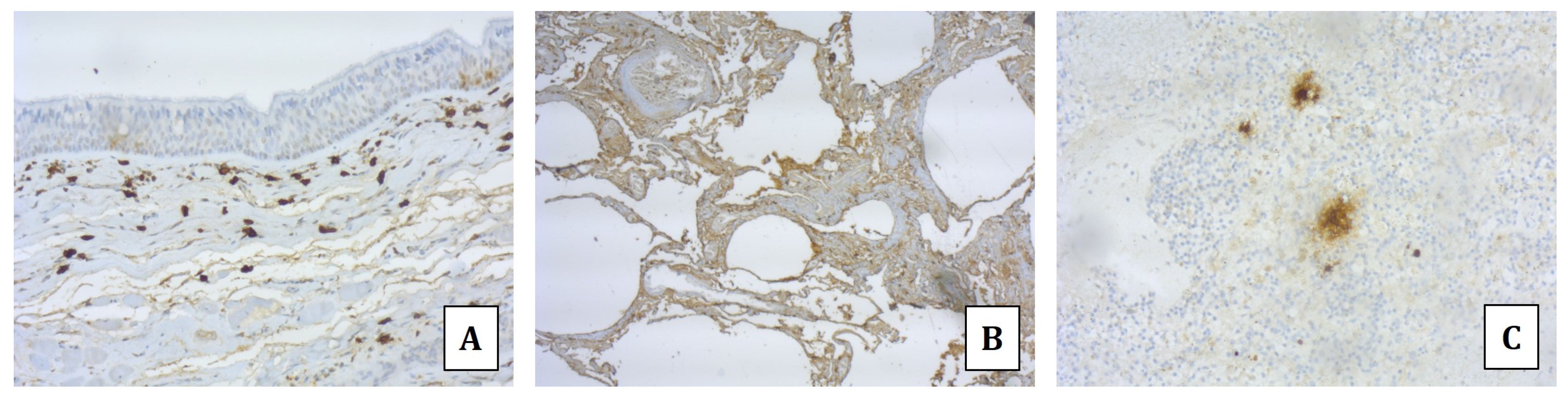 Diagnostics 14 01092 g002