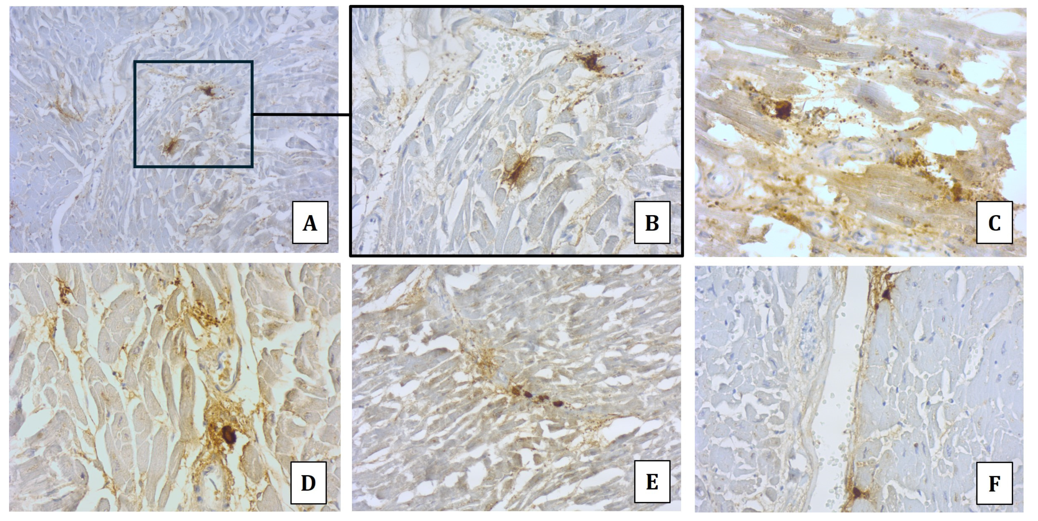 Diagnostics 14 01092 g003