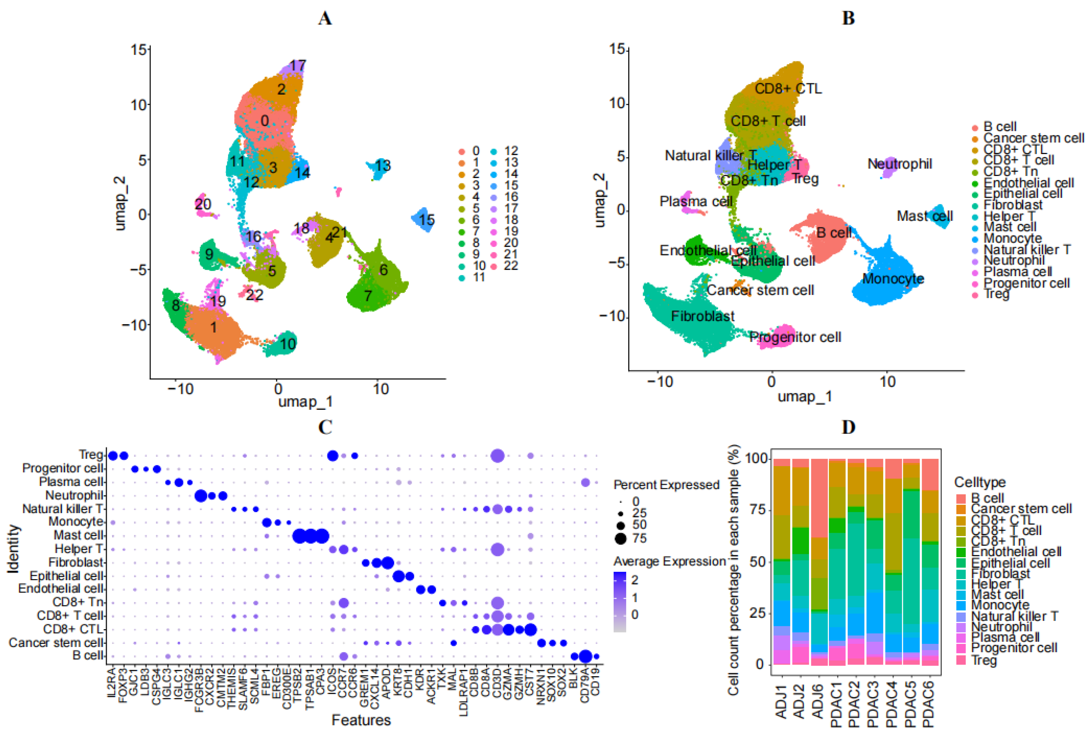 Diagnostics 14 01094 g001