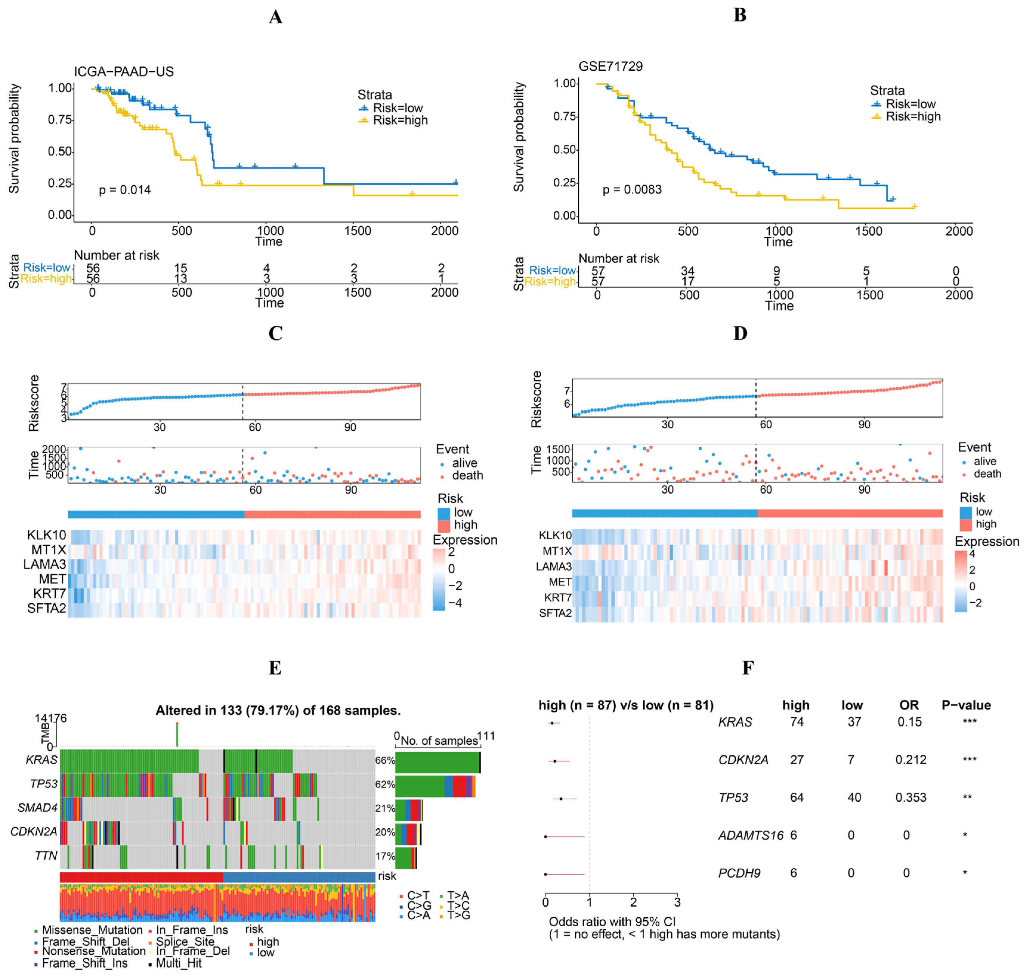 Diagnostics 14 01094 g004