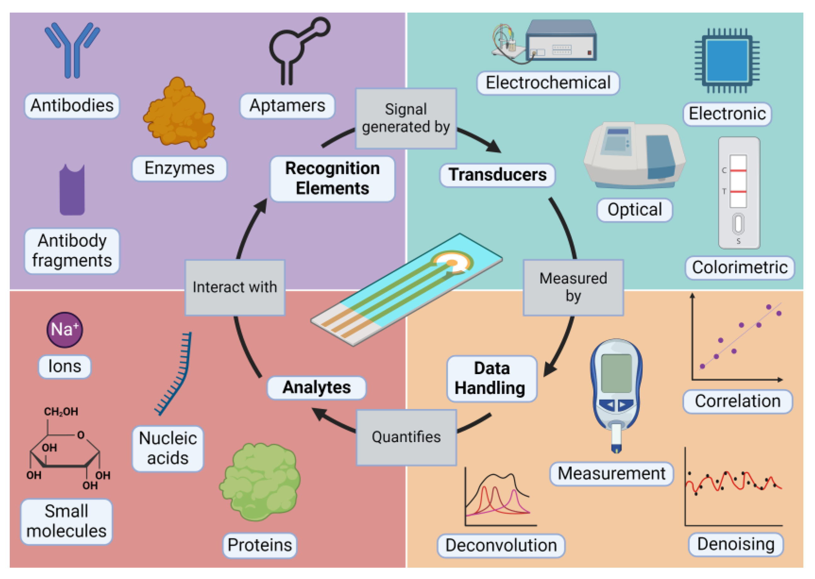 Diagnostics 14 01100 g001