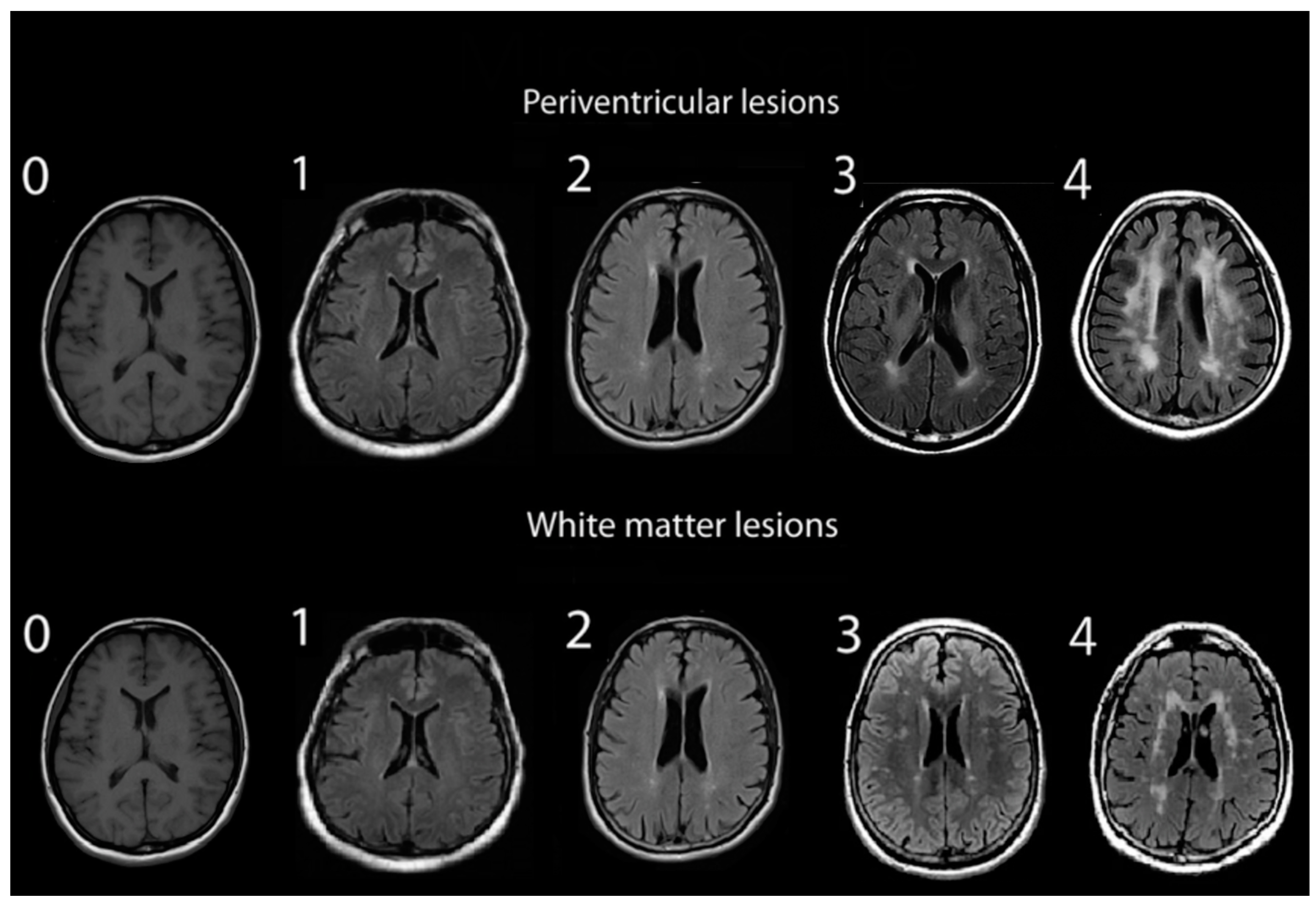 Diagnostics 14 01109 g002