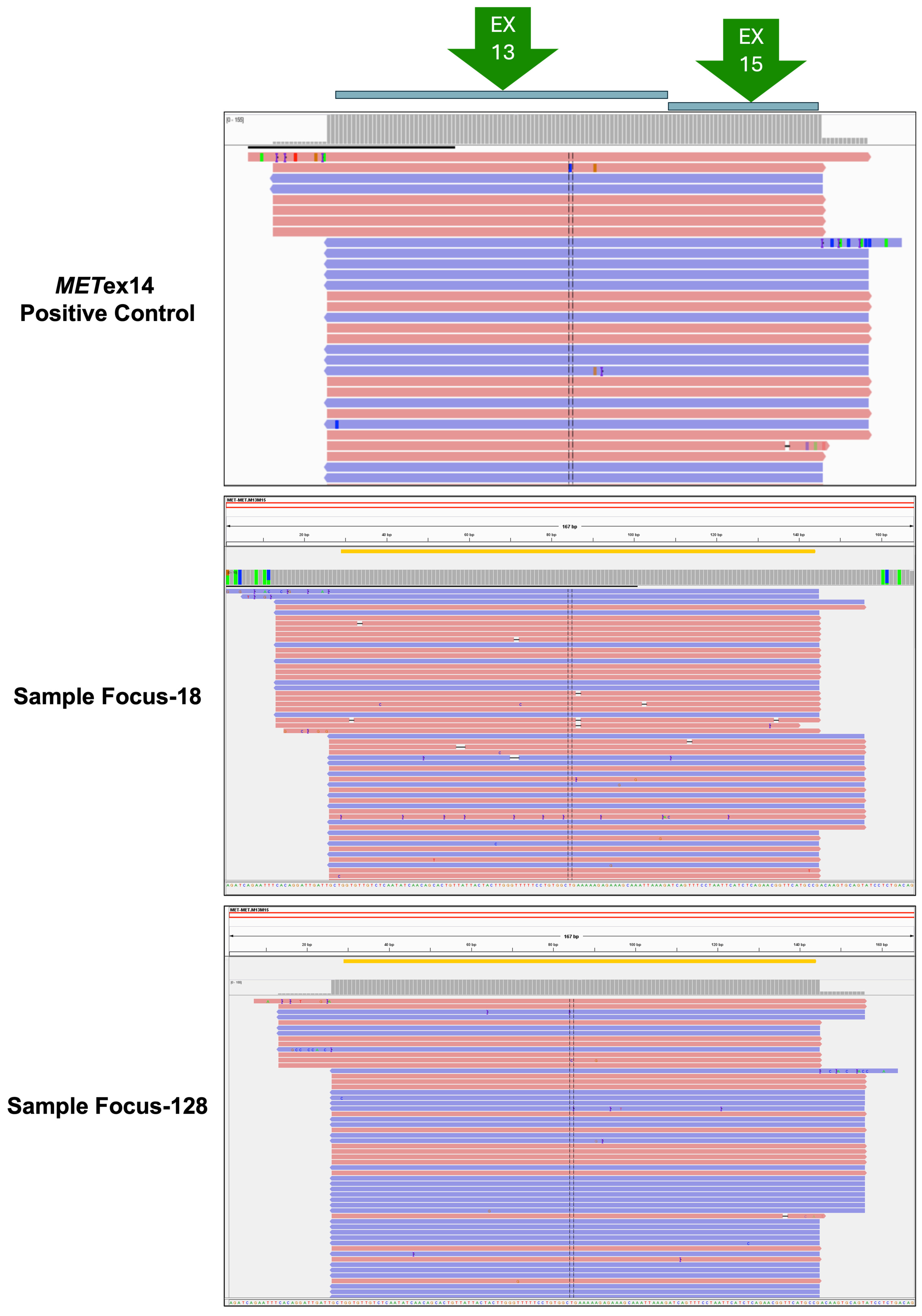 Diagnostics 14 01110 g001 Diagnostics 14 01110 g001