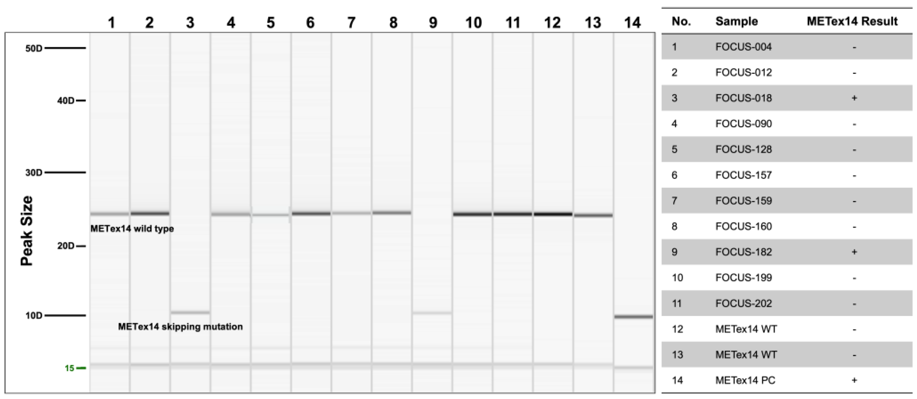 Diagnostics 14 01110 g003 Diagnostics 14 01110 g003