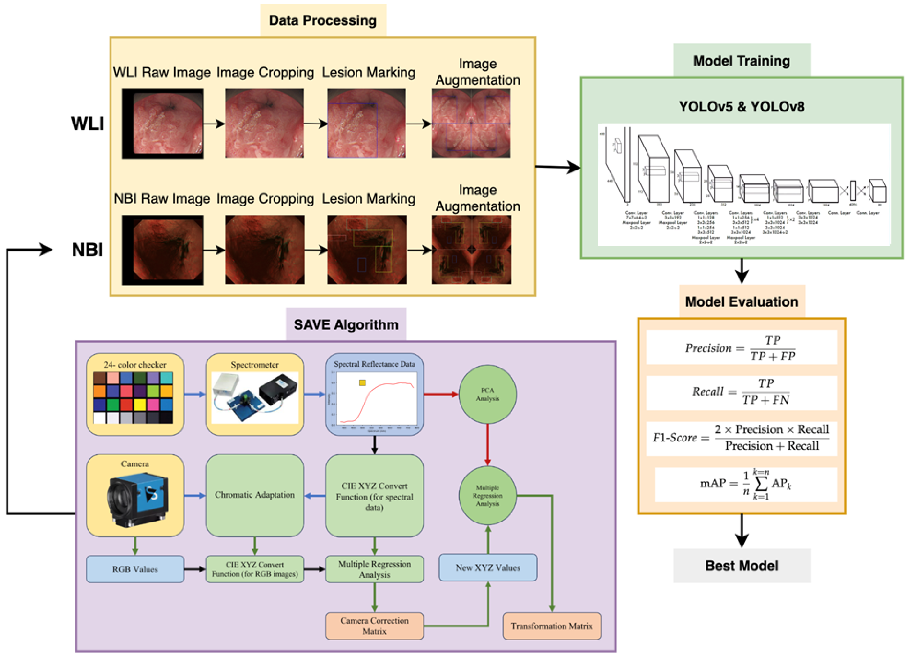 Diagnostics 14 01129 g001