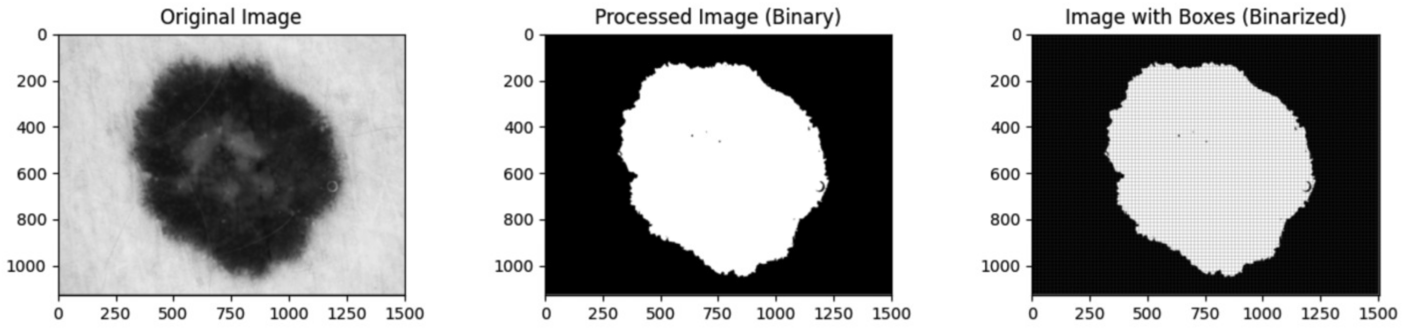 Diagnostics 14 01132 g001