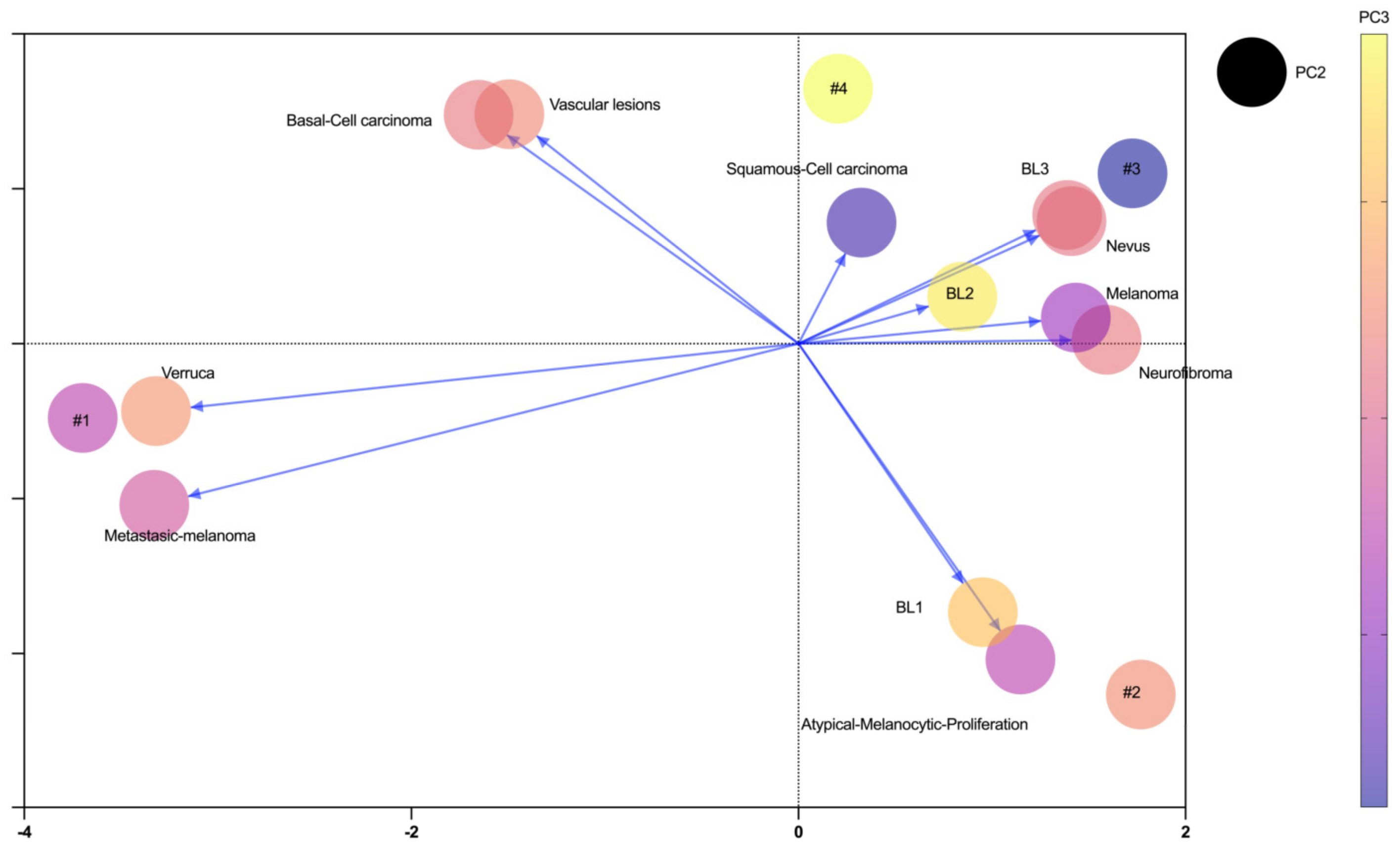 Diagnostics 14 01132 g003