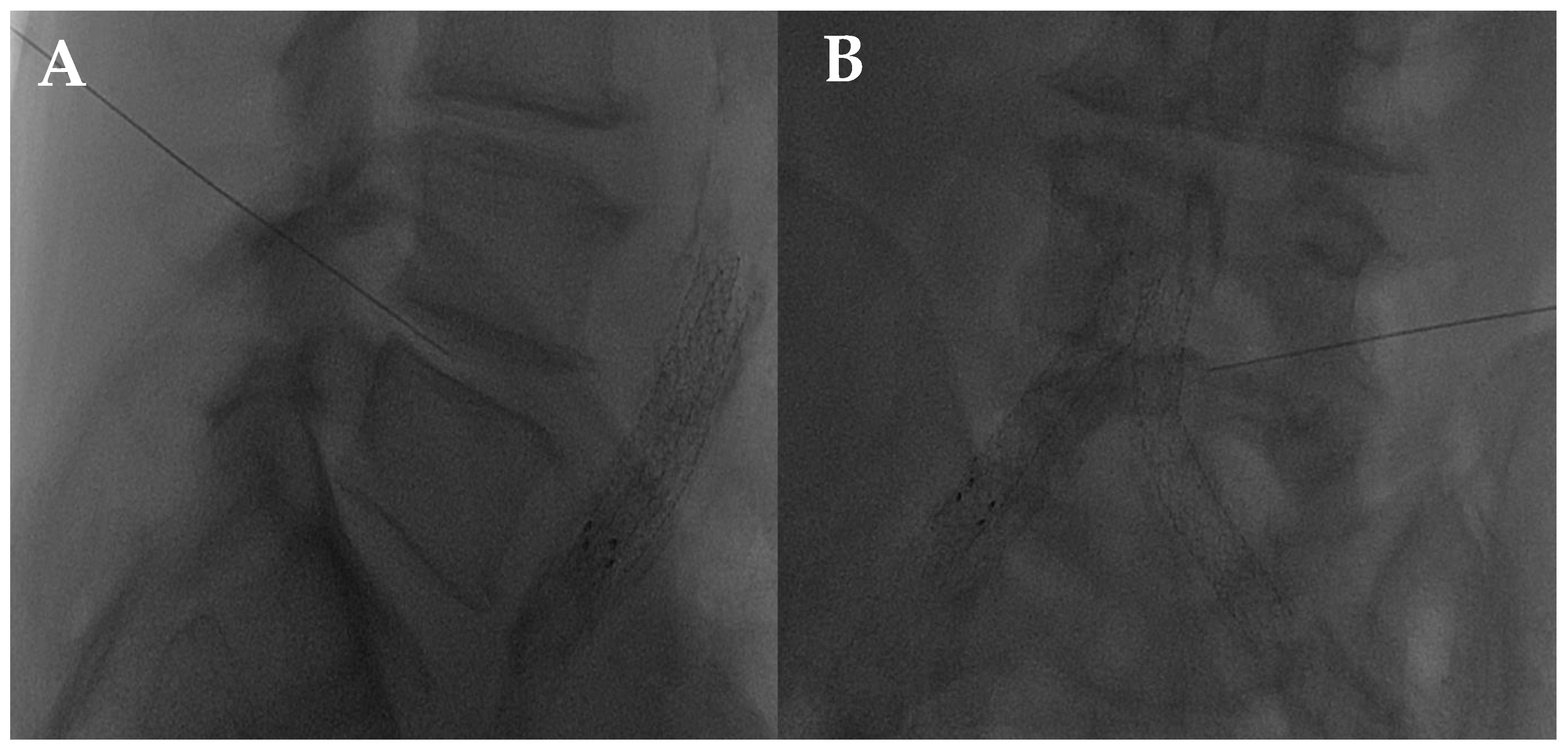 Diagnostics 14 01147 g002