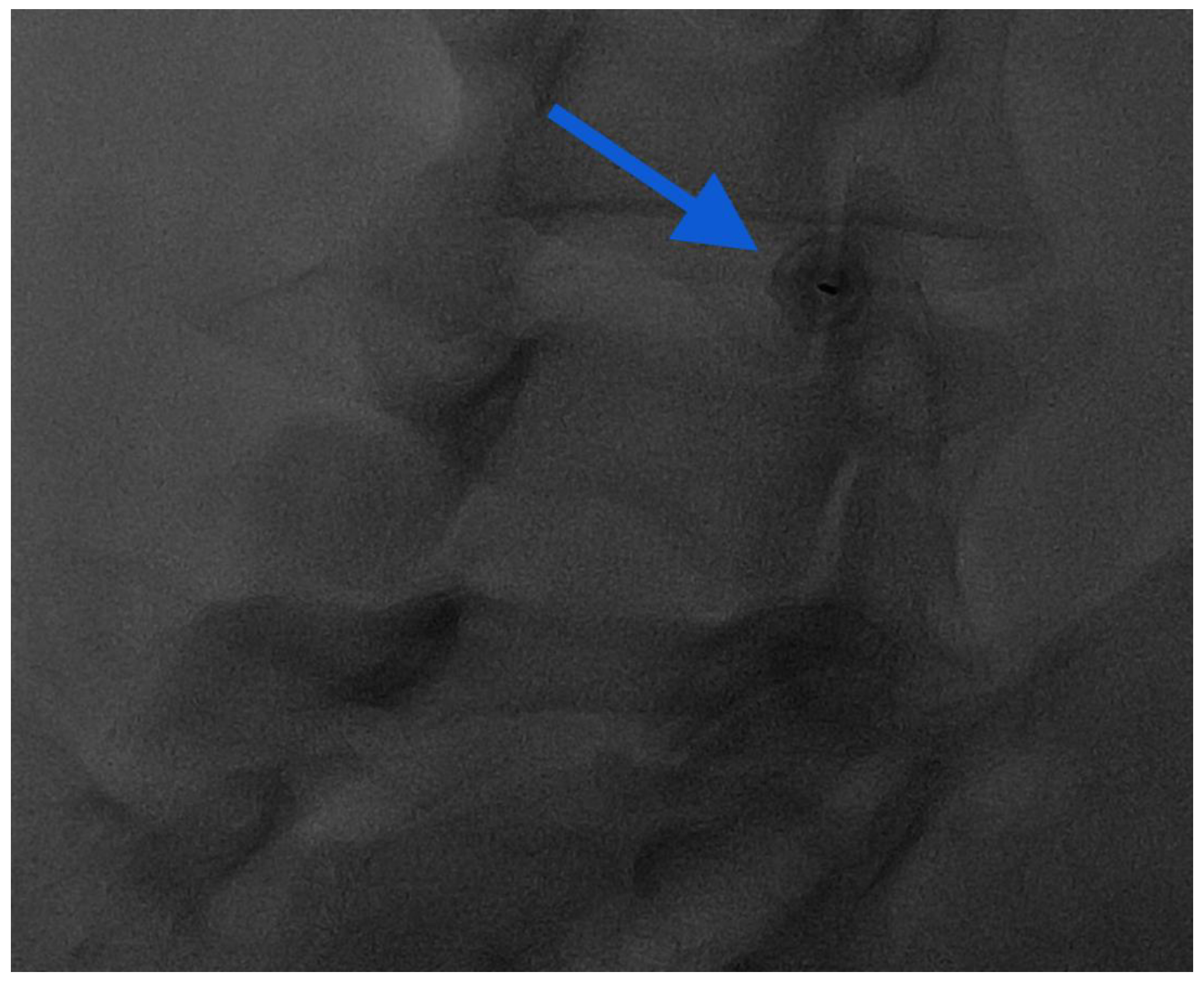 Diagnostics 14 01147 g007