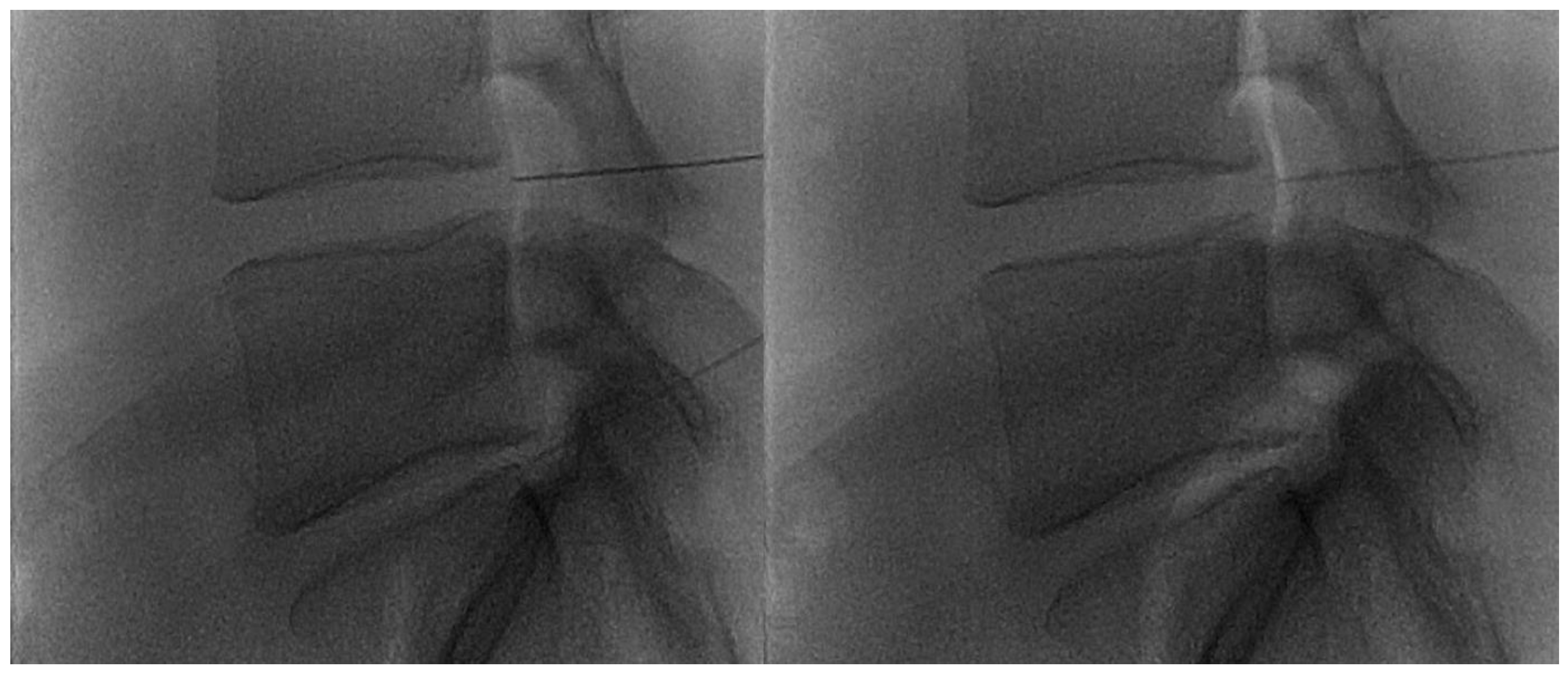 Diagnostics 14 01147 g009