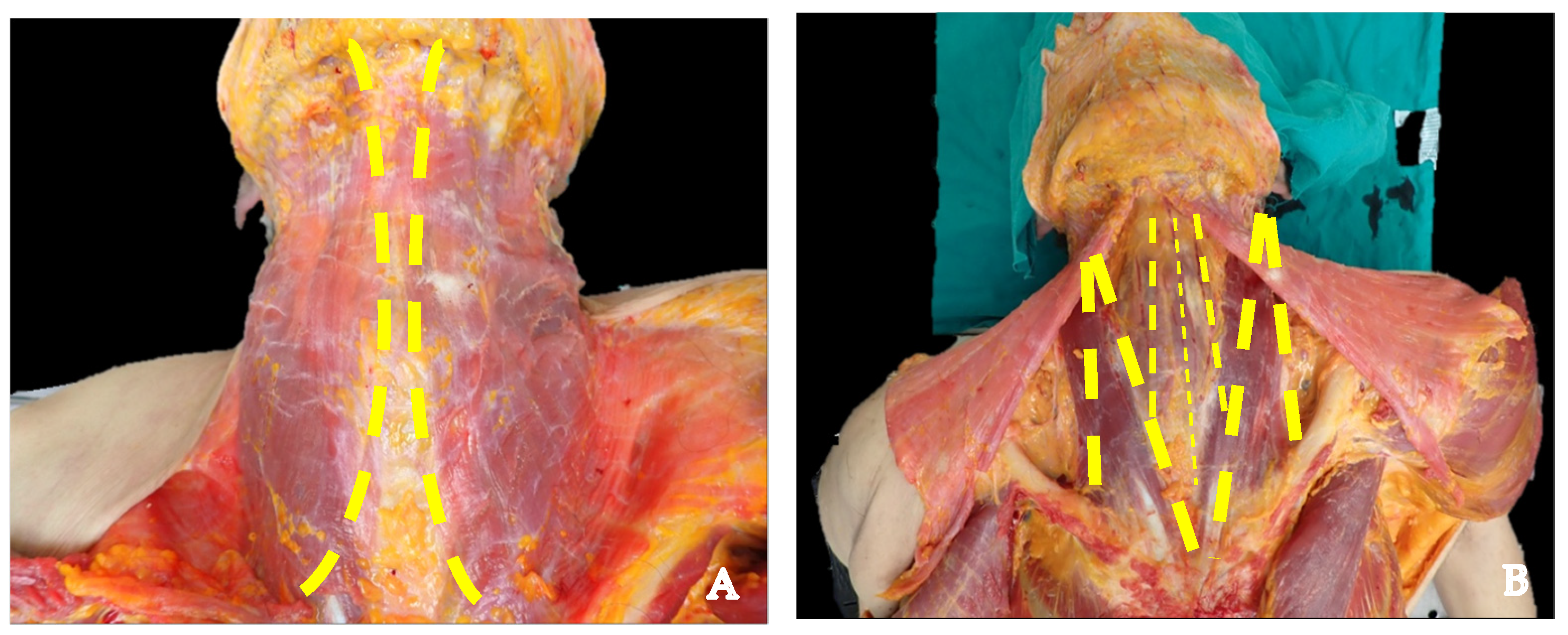 Diagnostics 14 01150 g003