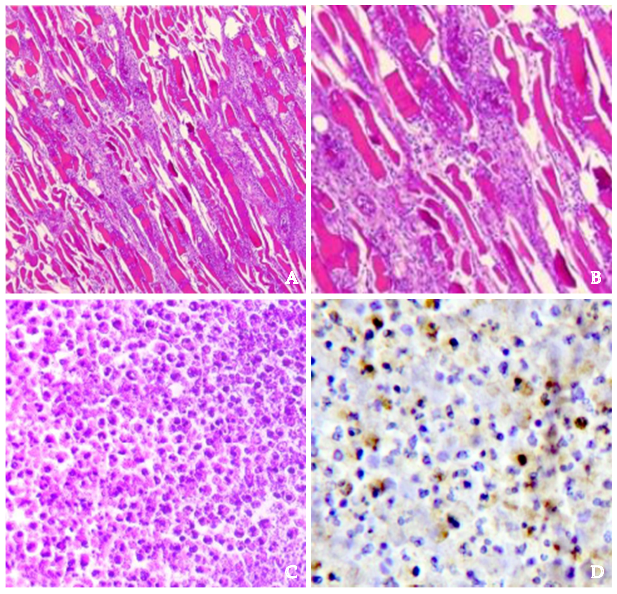 Diagnostics 14 01150 g005