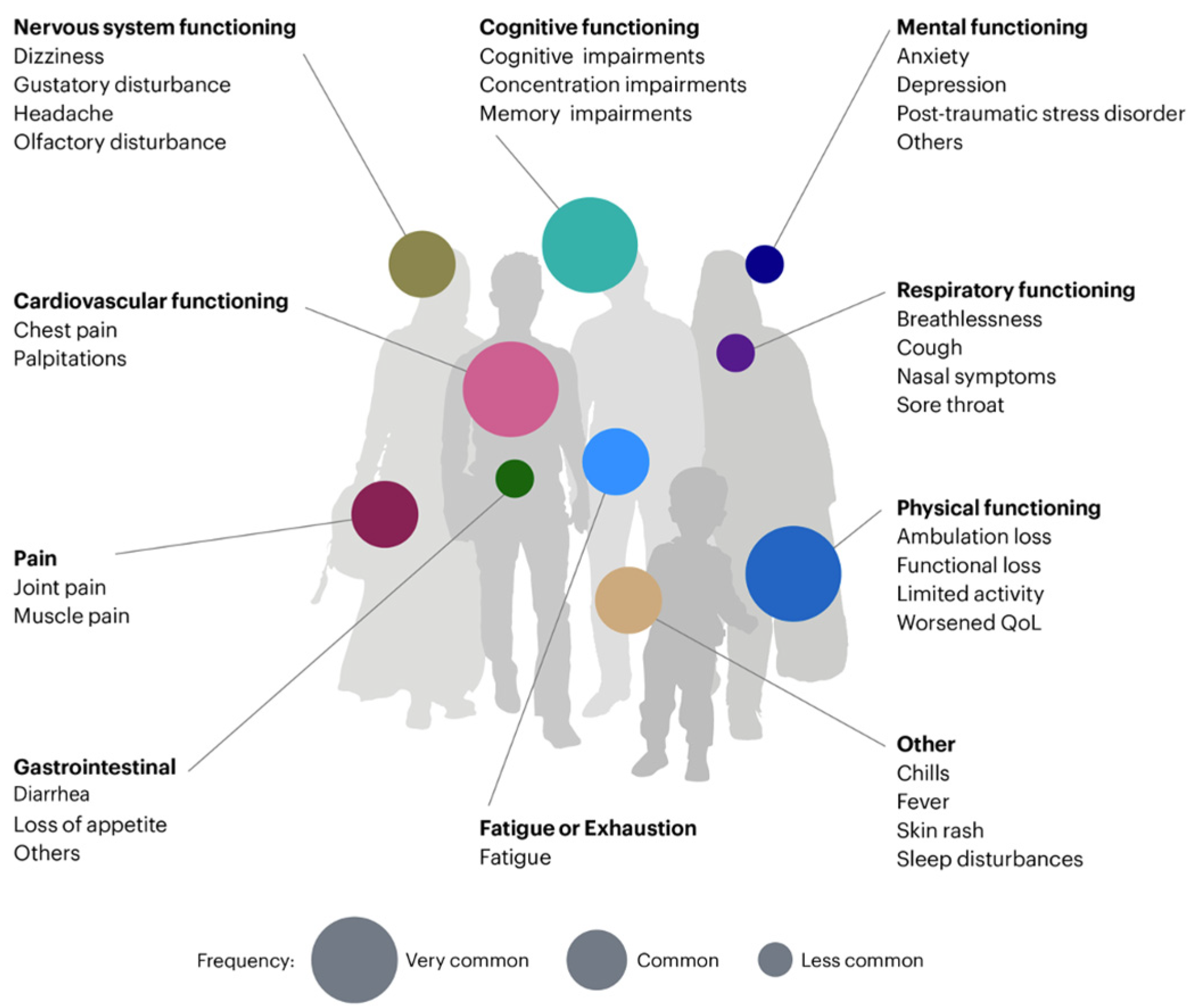 Diagnostics 14 01168 g002