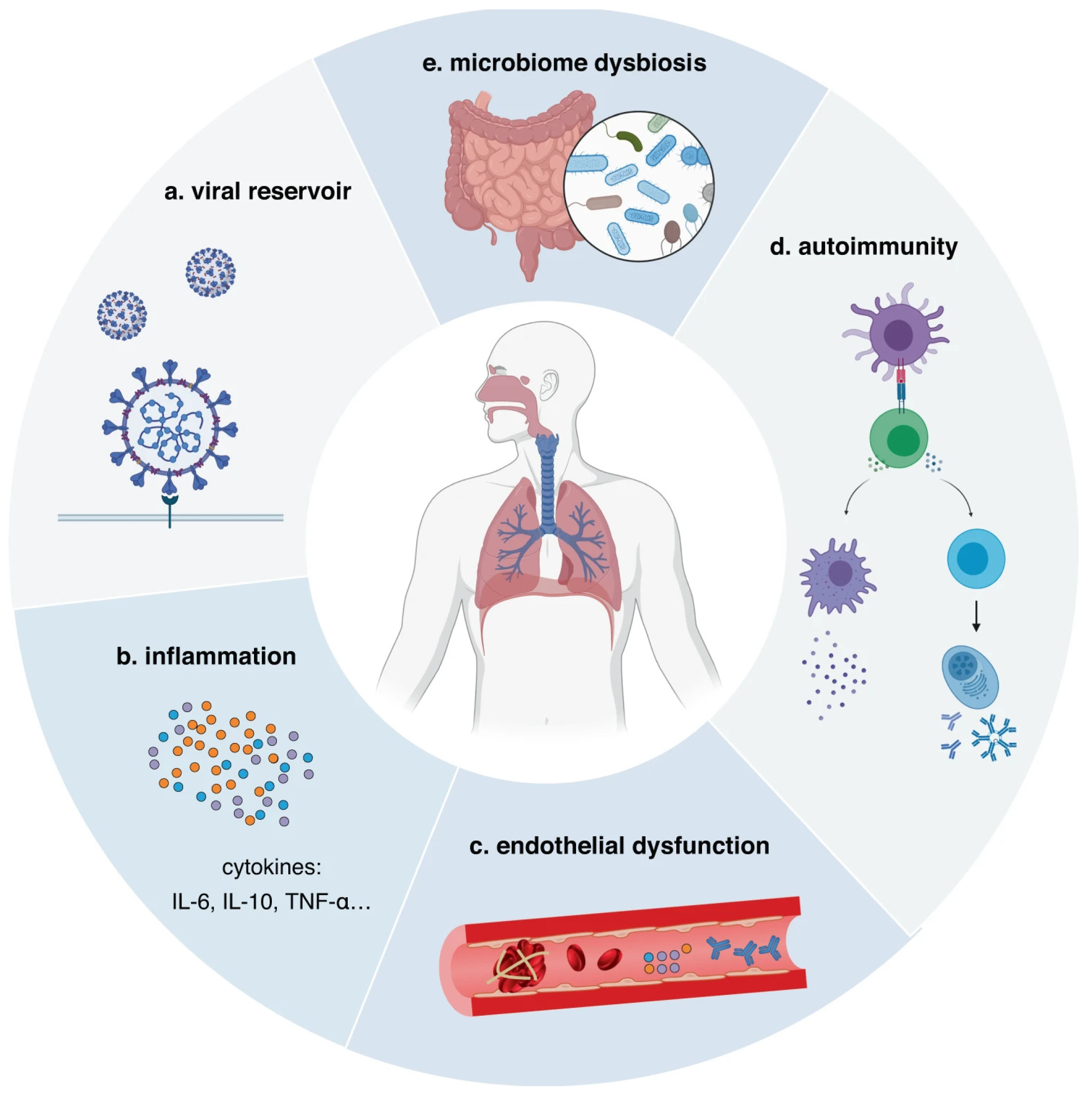 Diagnostics 14 01168 g003