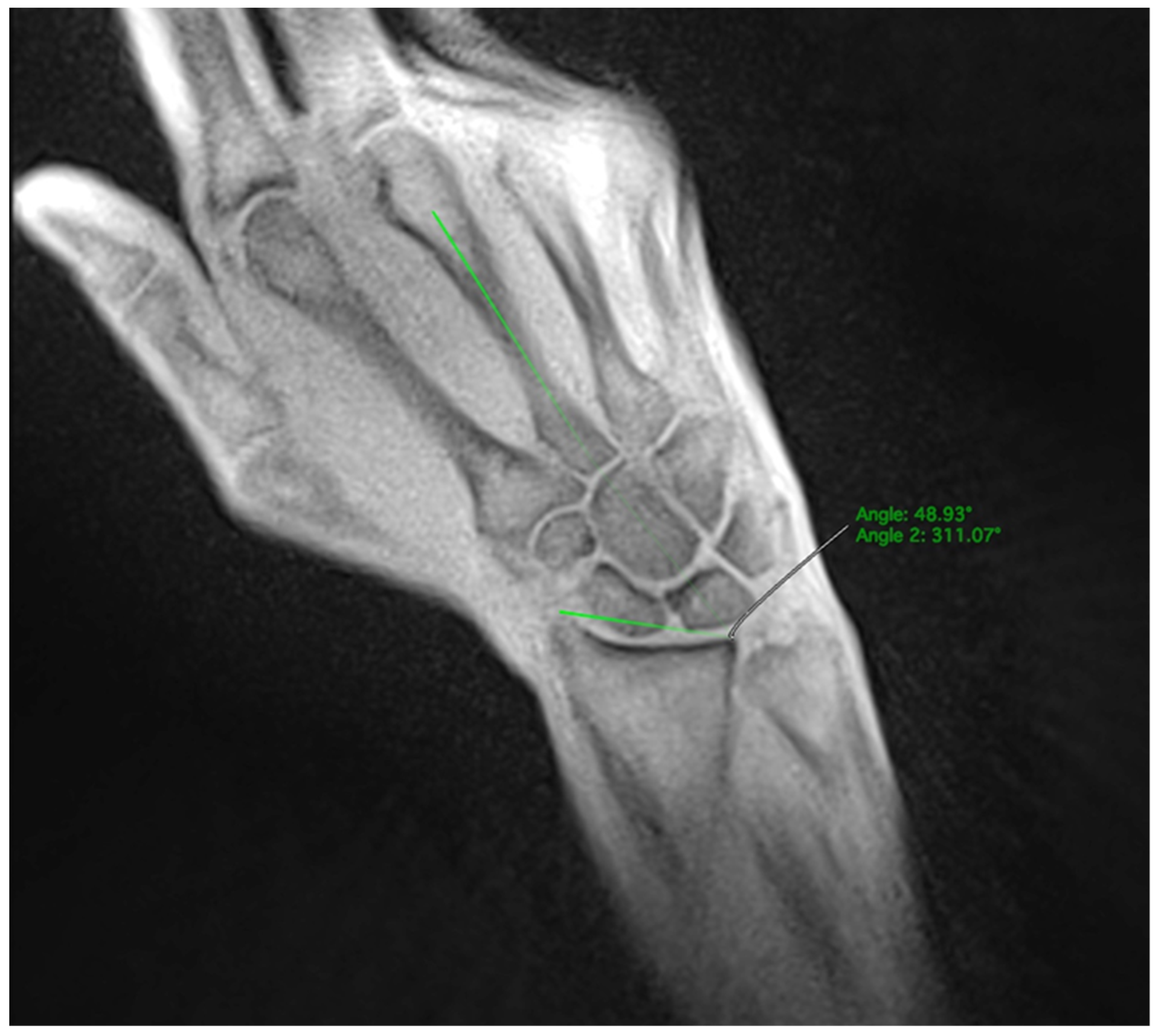 Diagnostics 14 01177 g003