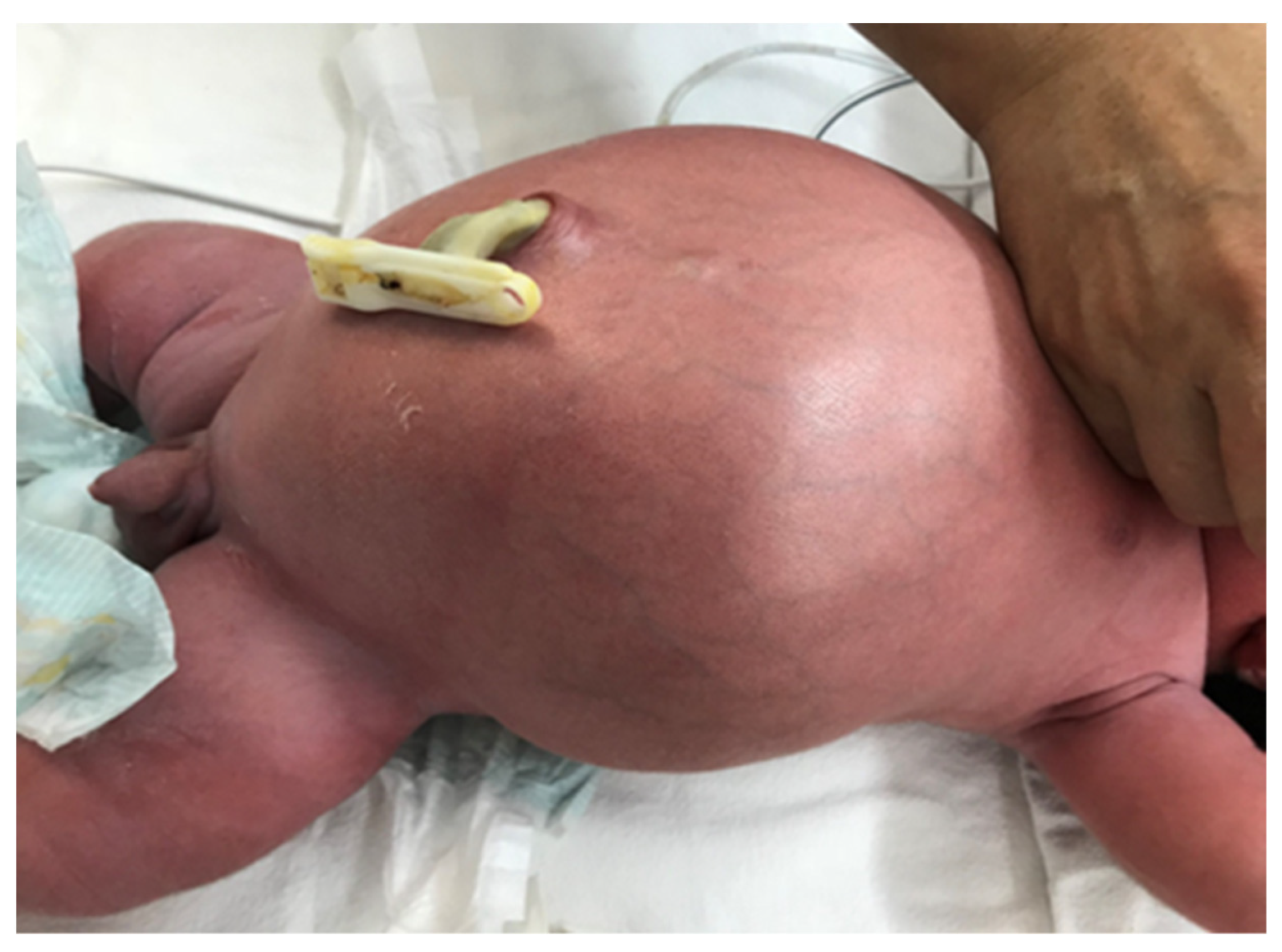 Diagnostics 14 01179 g002 Diagnostics 14 01179 g002