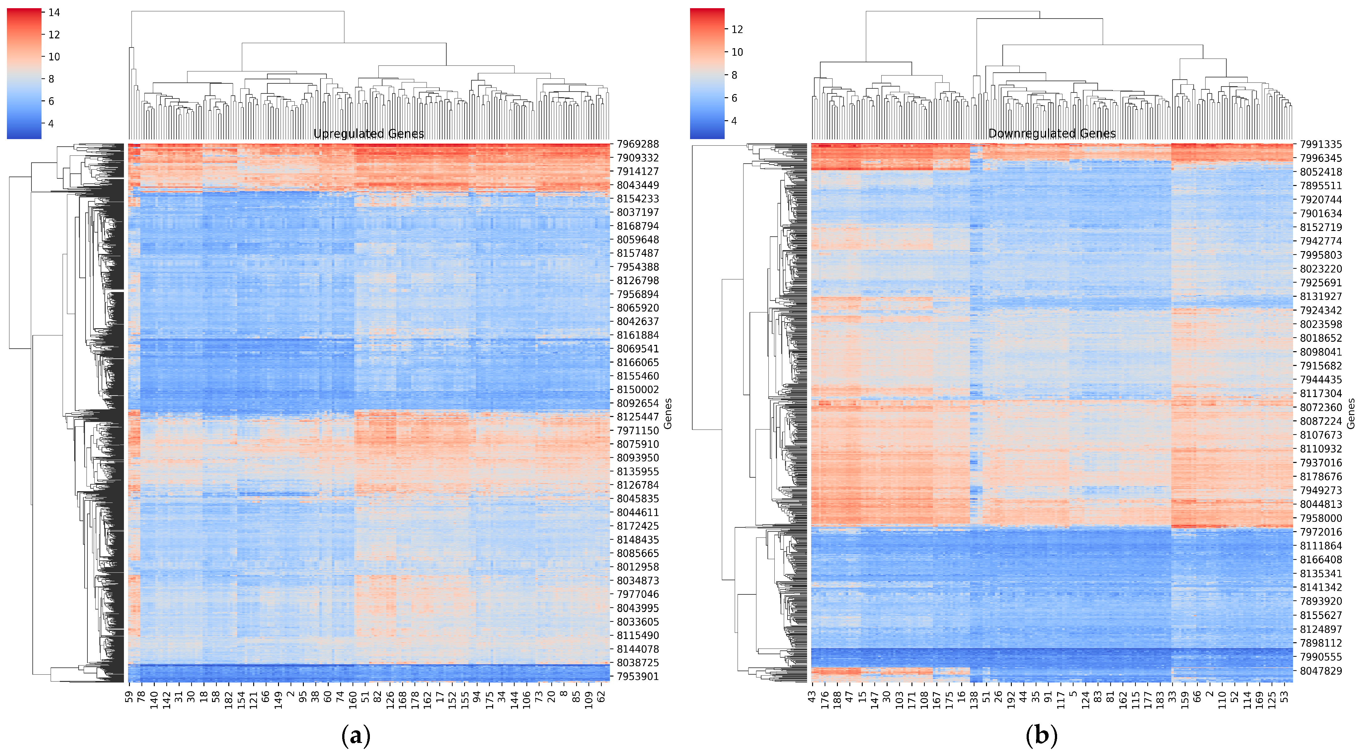 Diagnostics 14 01182 g002
