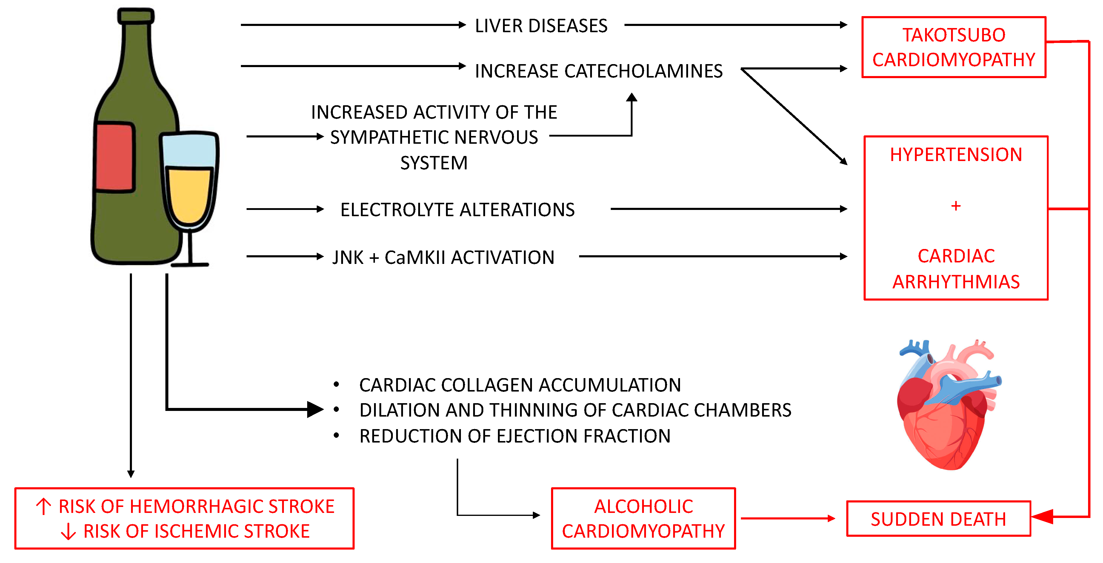 Diagnostics 14 01189 g002