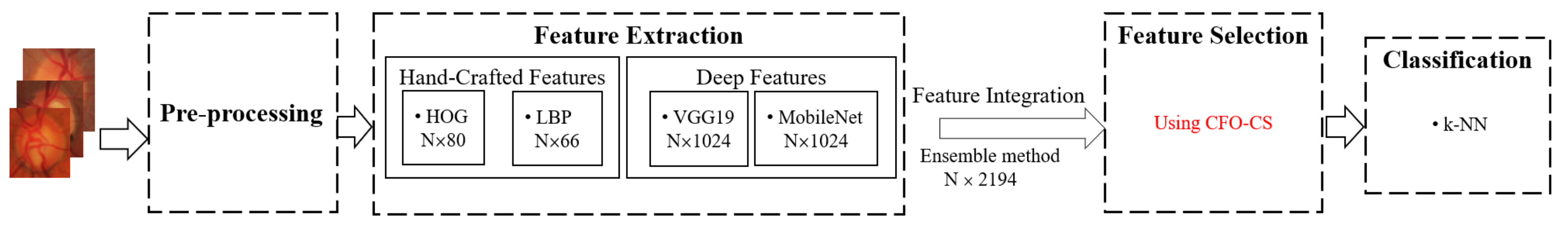 Diagnostics 14 01191 g001