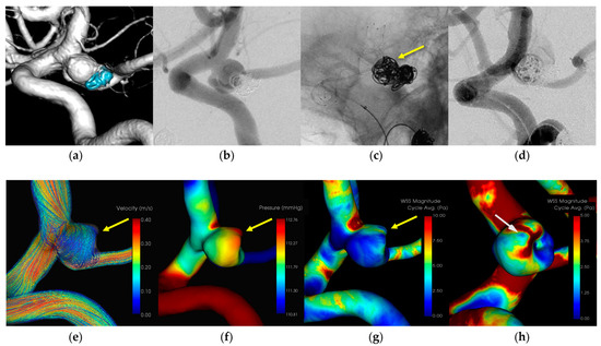 Diagnostics 14 01203 g002