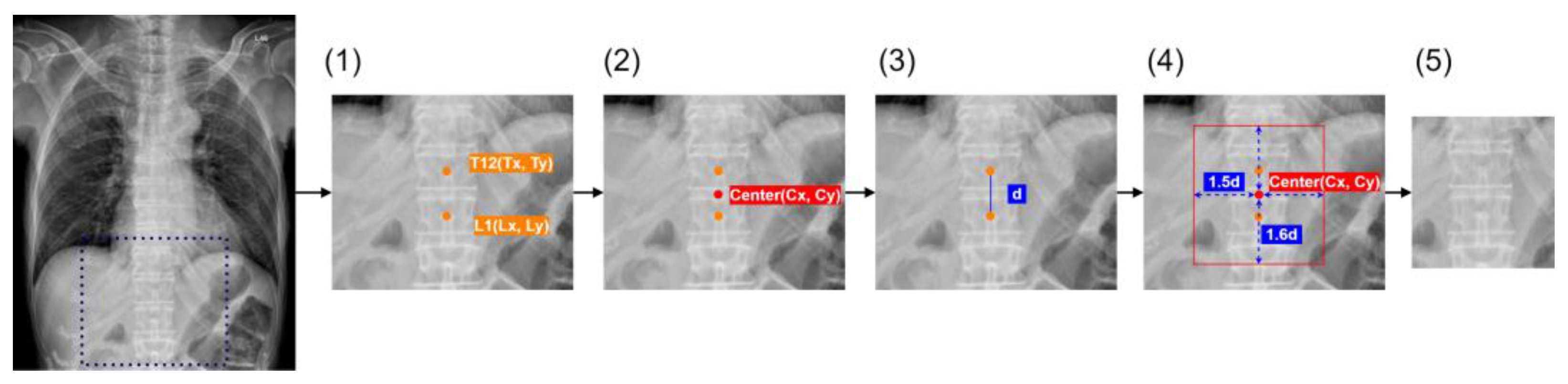 Diagnostics 14 01208 g002