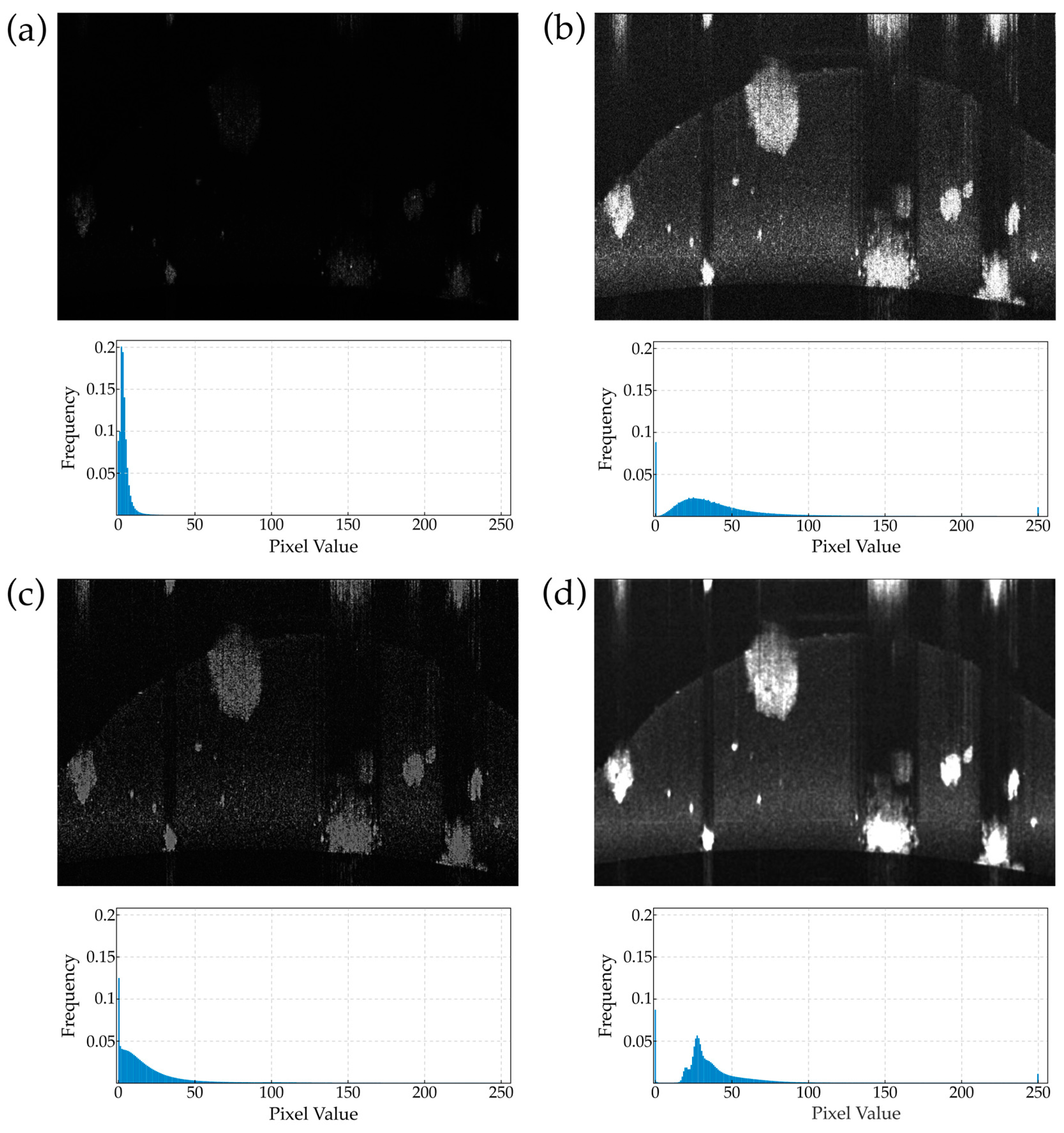Diagnostics 14 01217 g004