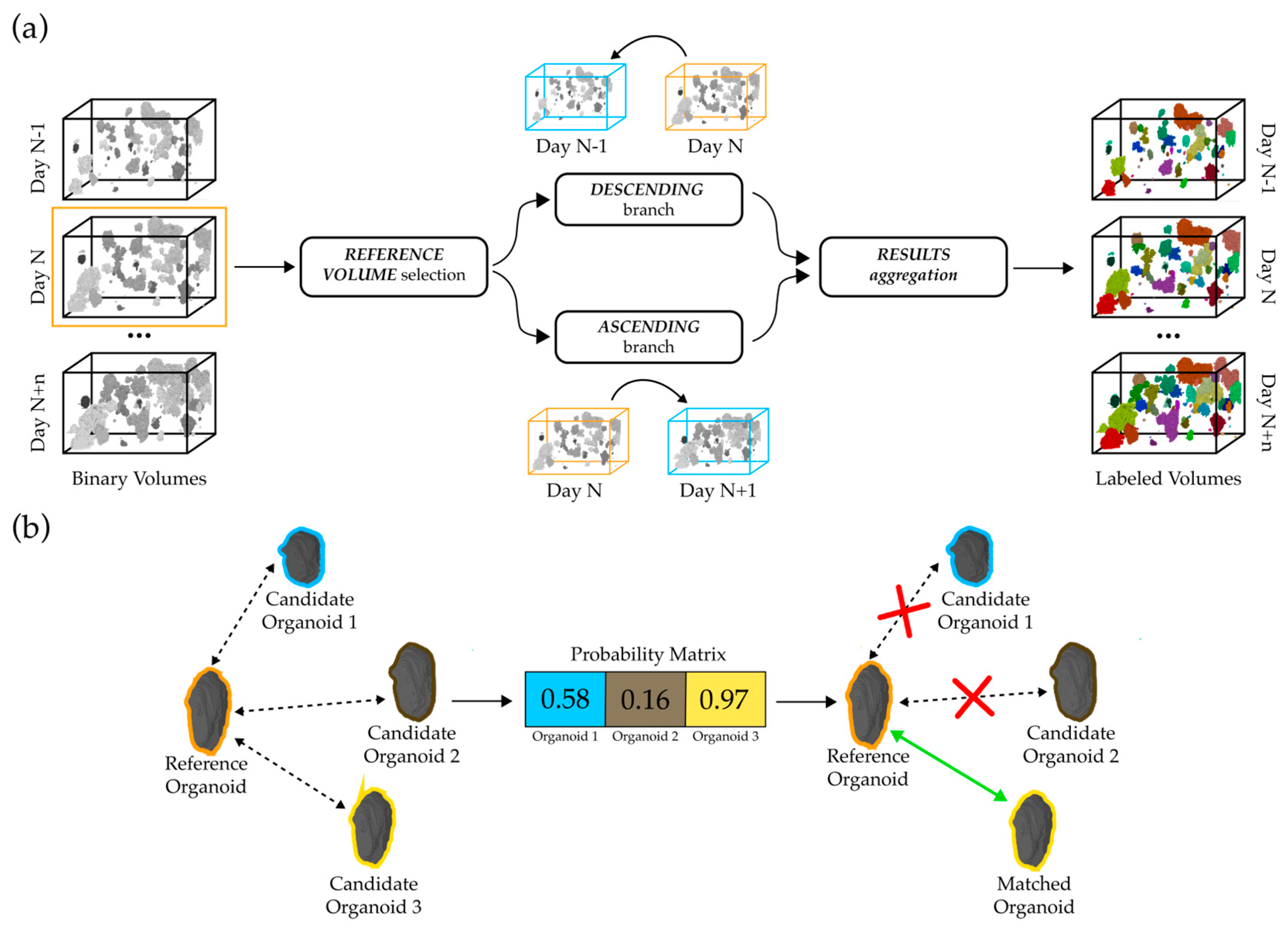 Diagnostics 14 01217 g006