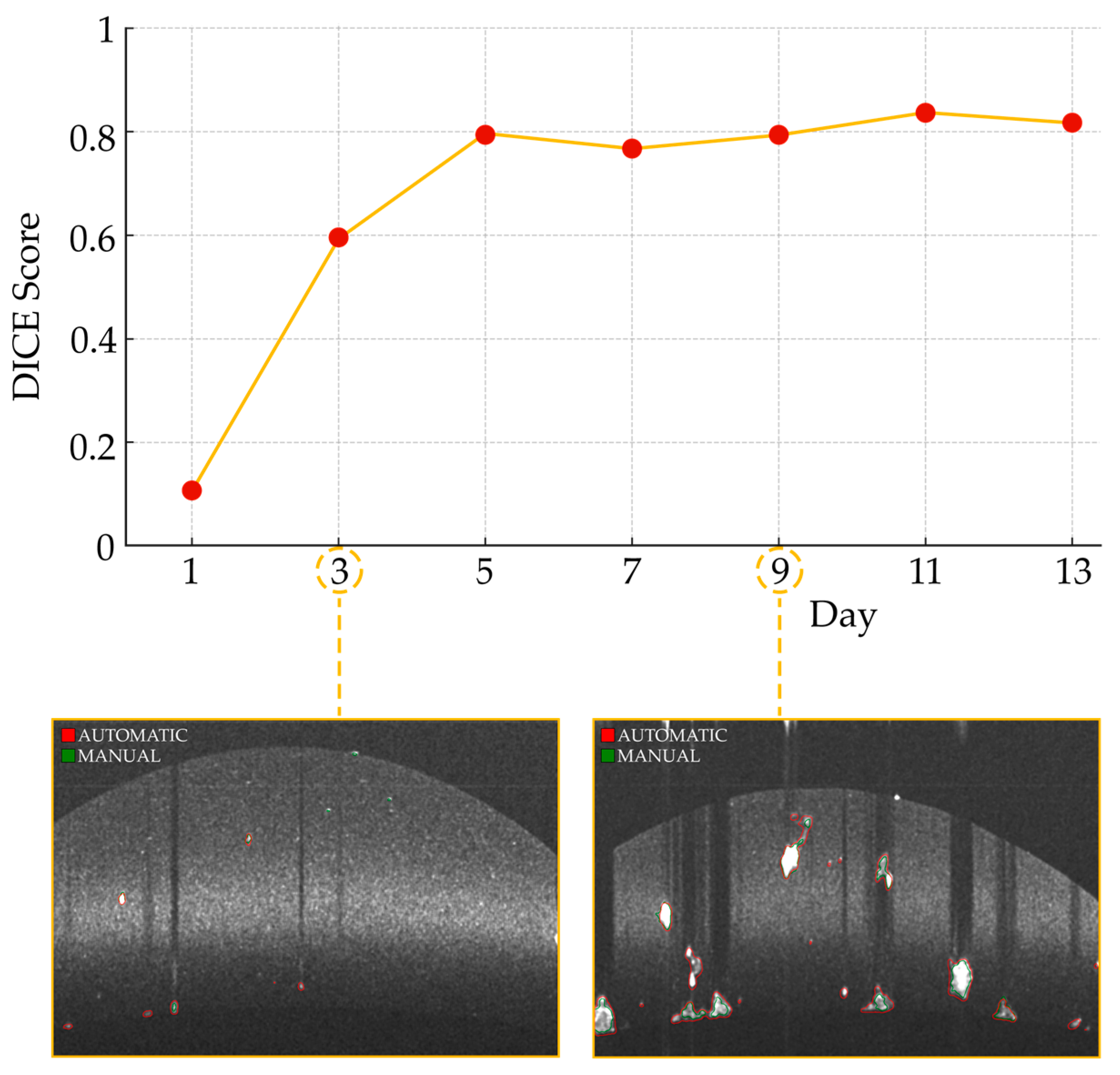 Diagnostics 14 01217 g007