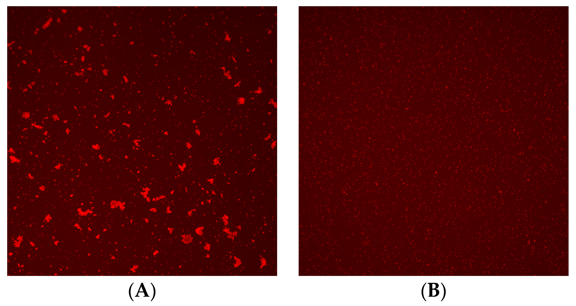 Diagnostics 14 01231 g002