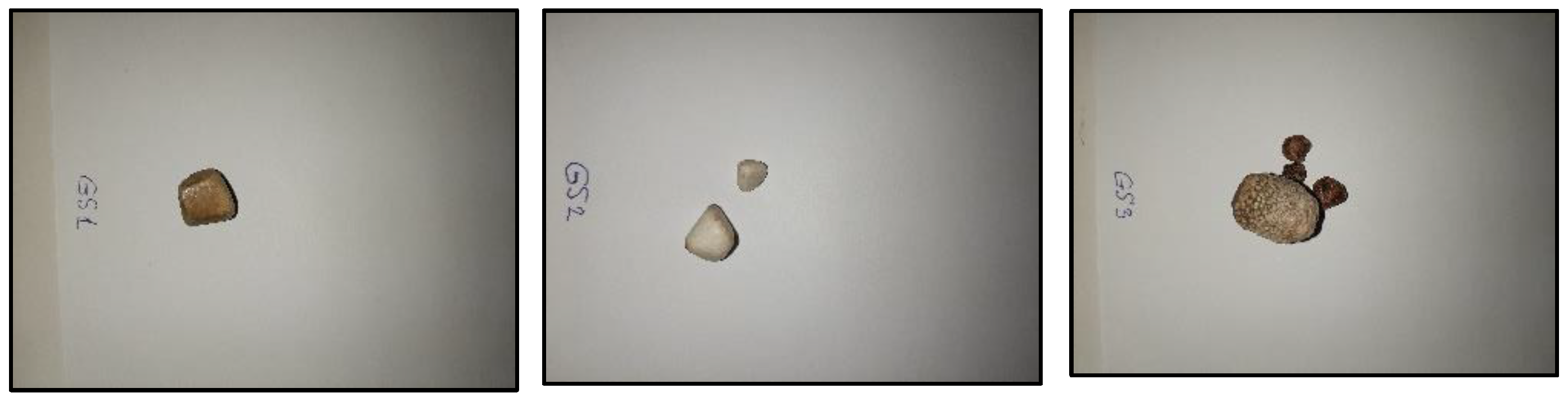 Diagnostics 14 01234 g002